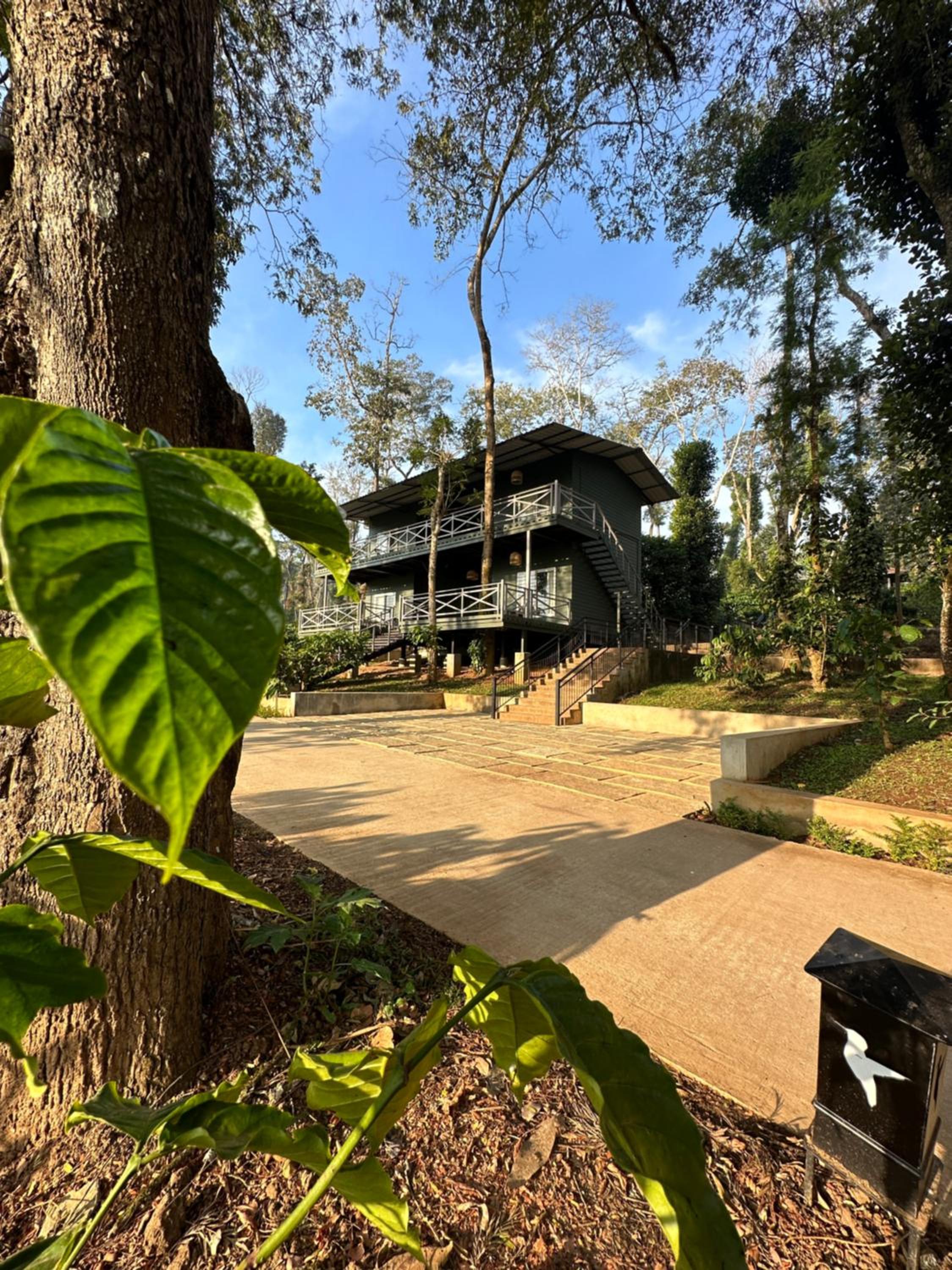 Tamarind Canopy Luxe Cabin - Photo 20
