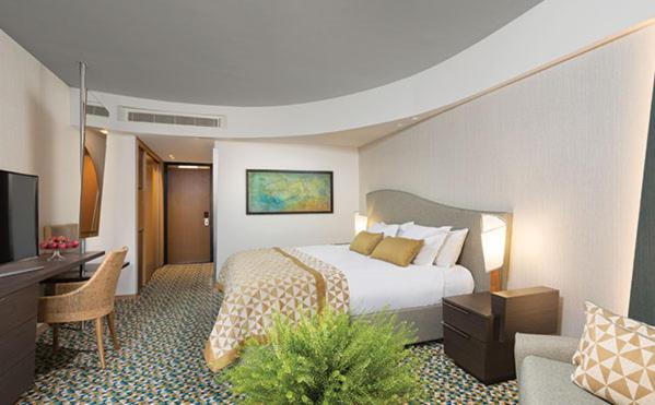 Superior Room - Photo 4