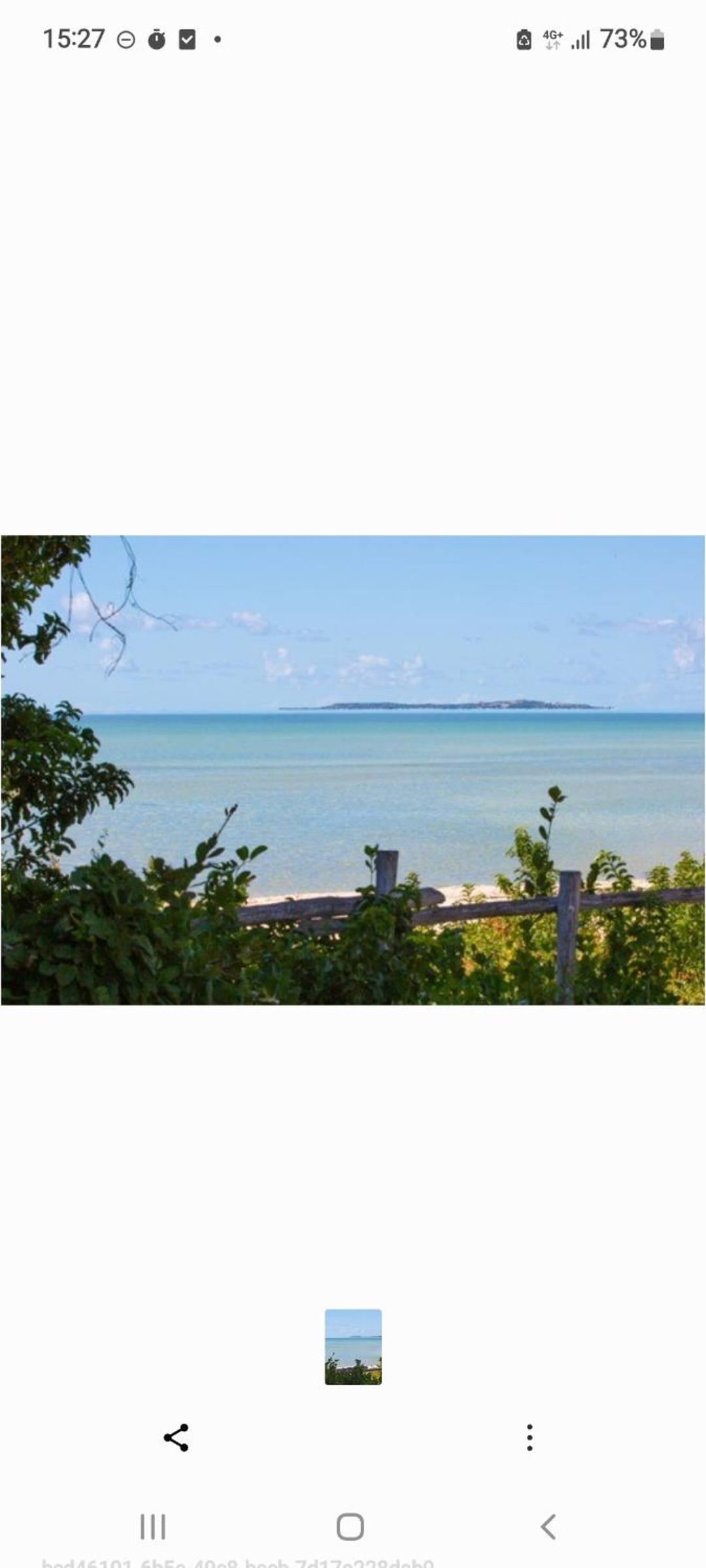 Small Beach Bungalow photo 3