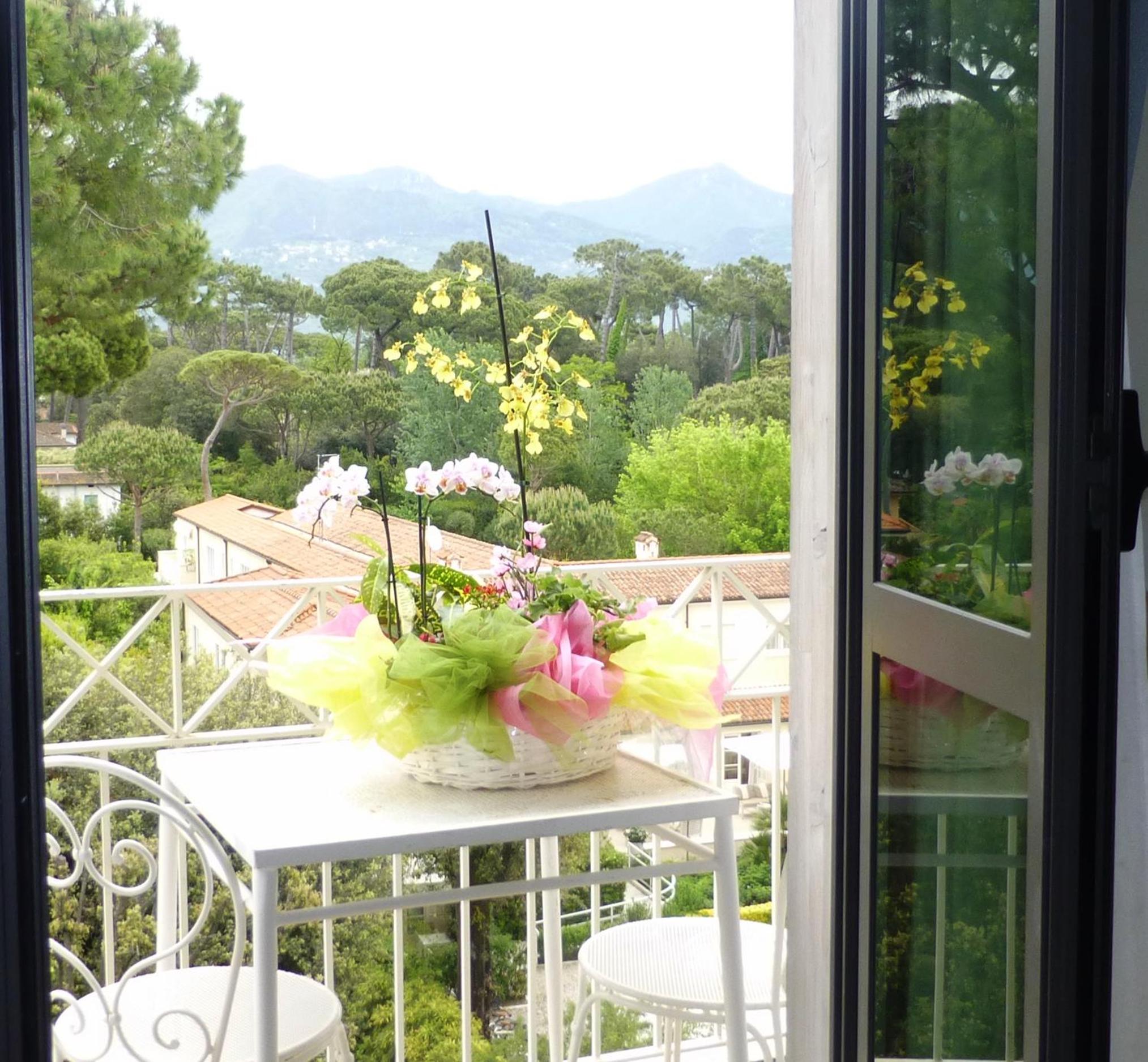 Standard Single Room with Mountain View photo 3