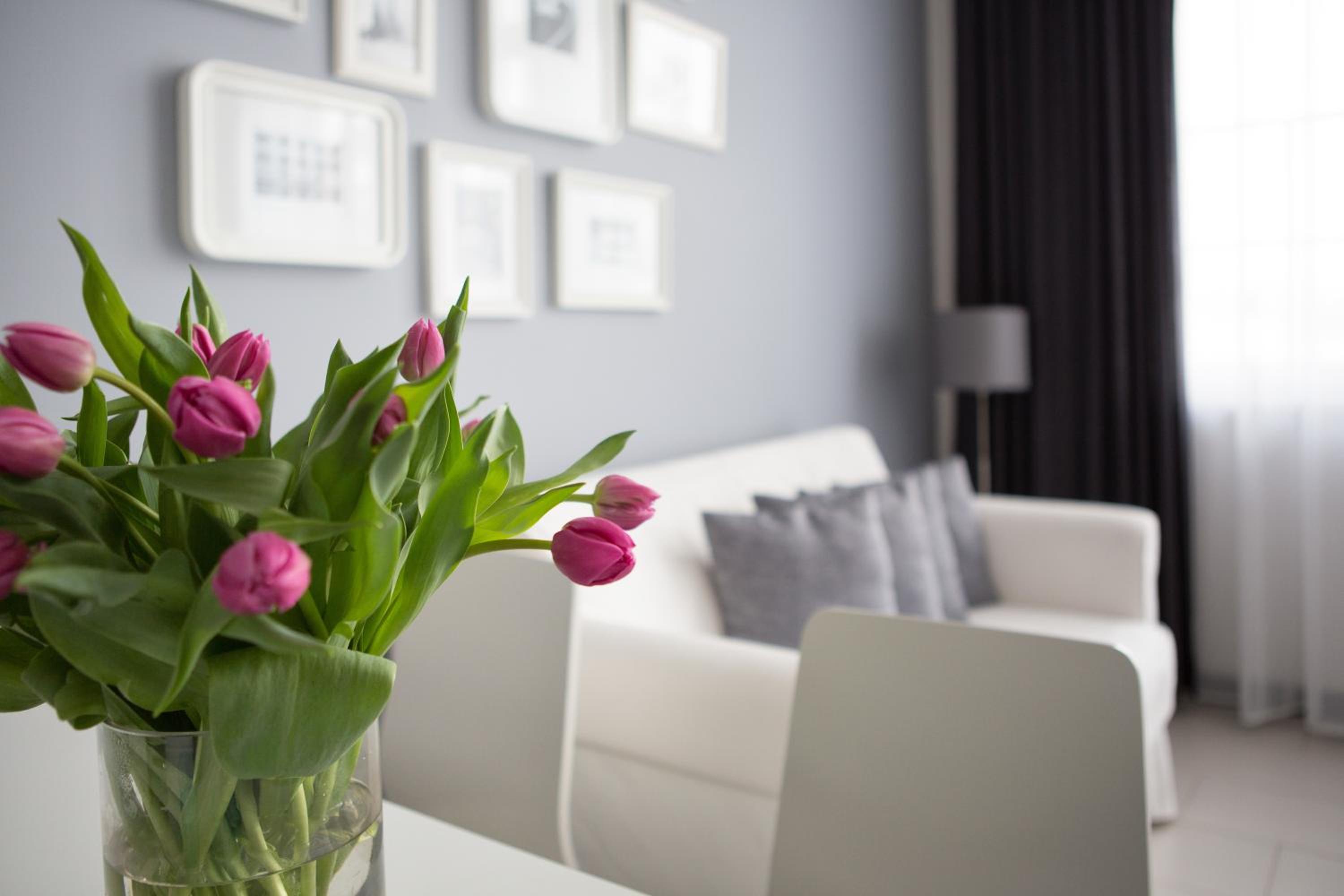 Studio Apartment - Paul-List-Str. 26 - Photo 12