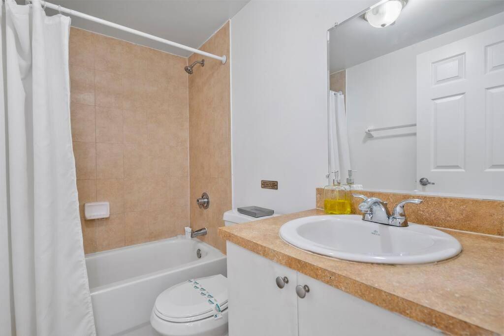 One-Bedroom Apartment photo 2