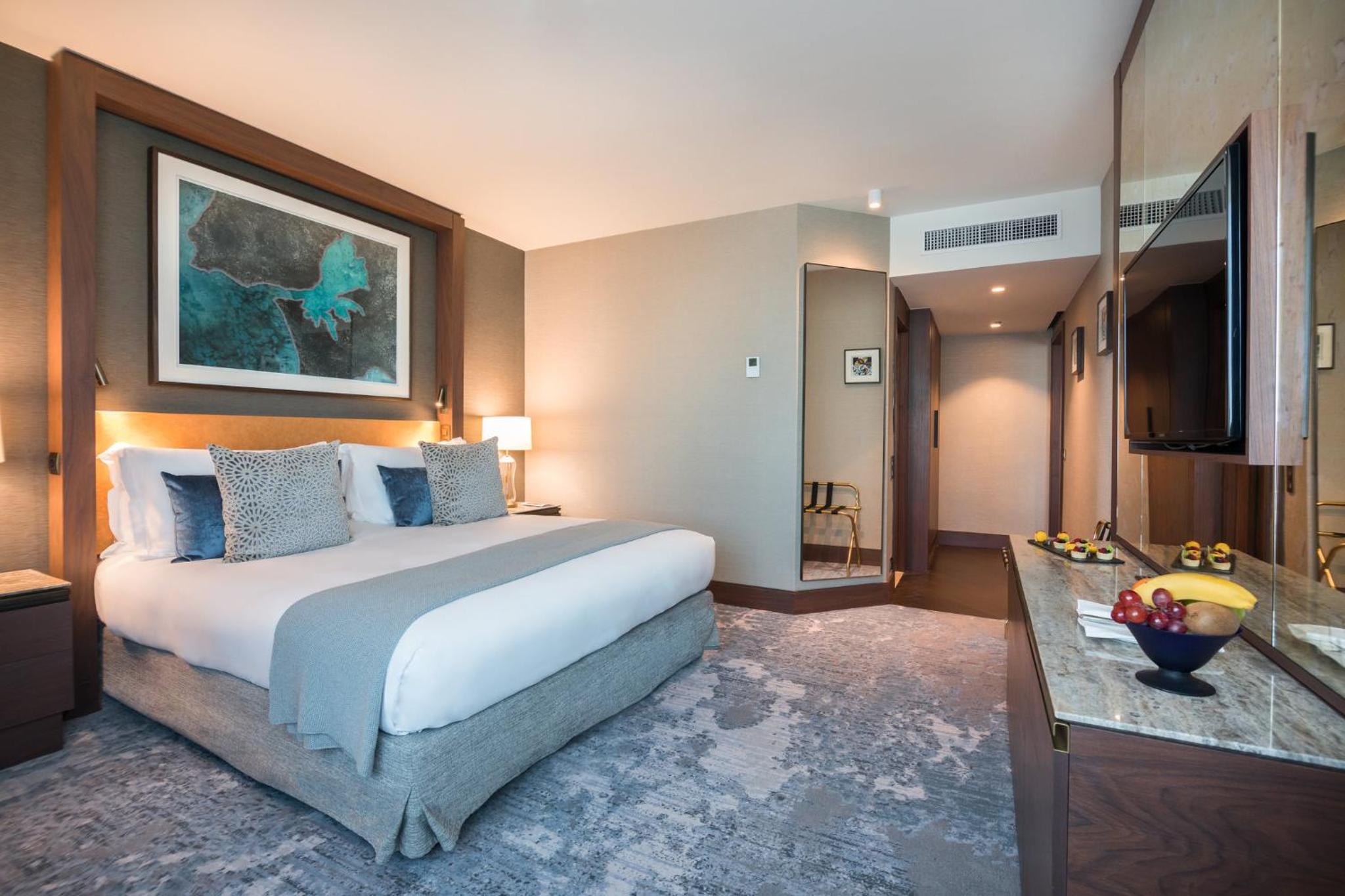 One-Bedroom Suite - Photo 8