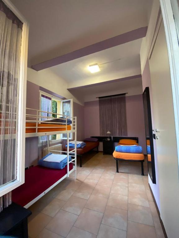 Bunk Bed In Mixed Dormitory Room photo 1