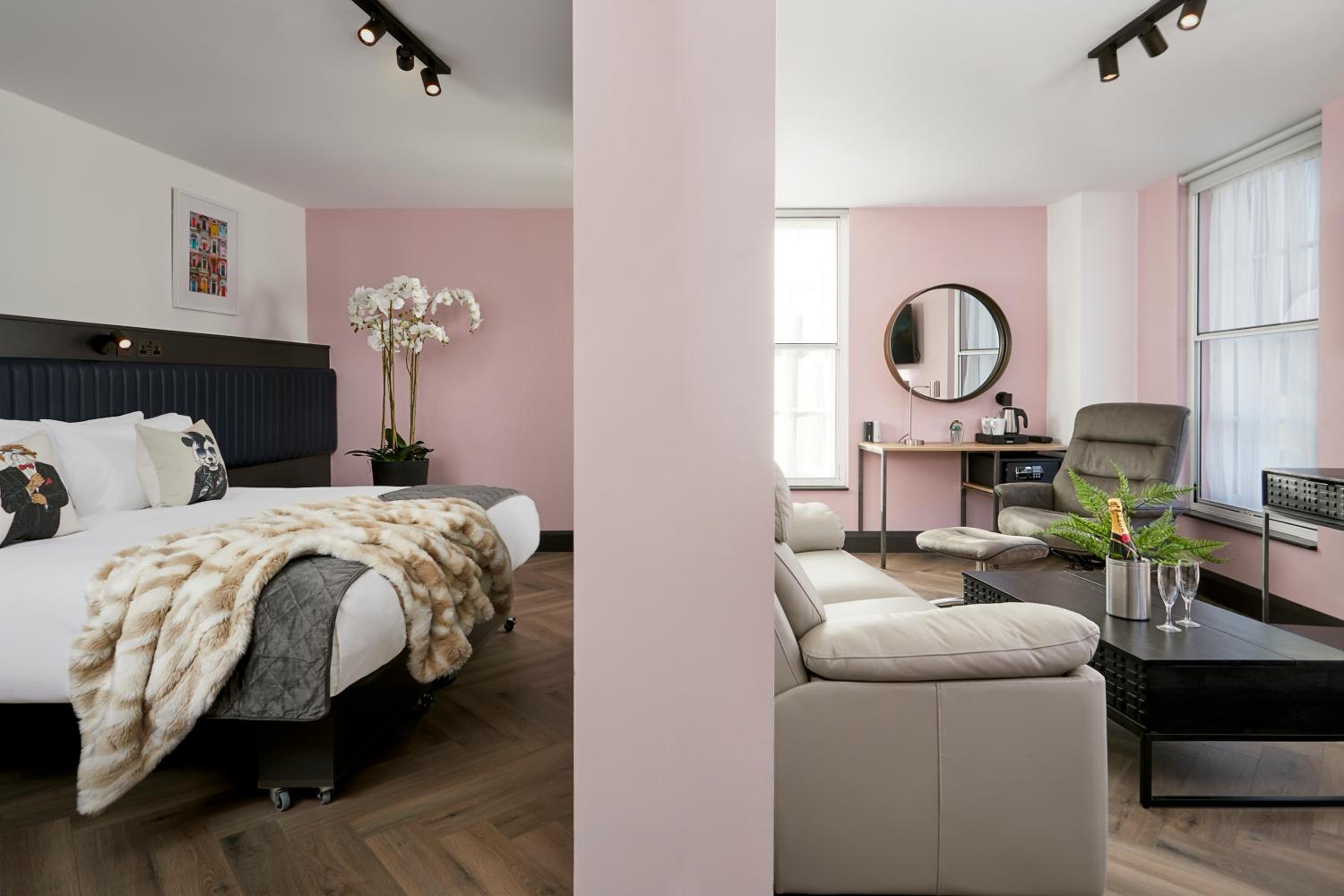 Suite photo 1