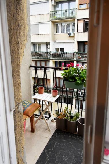 Apartment with Balcony - Photo 21