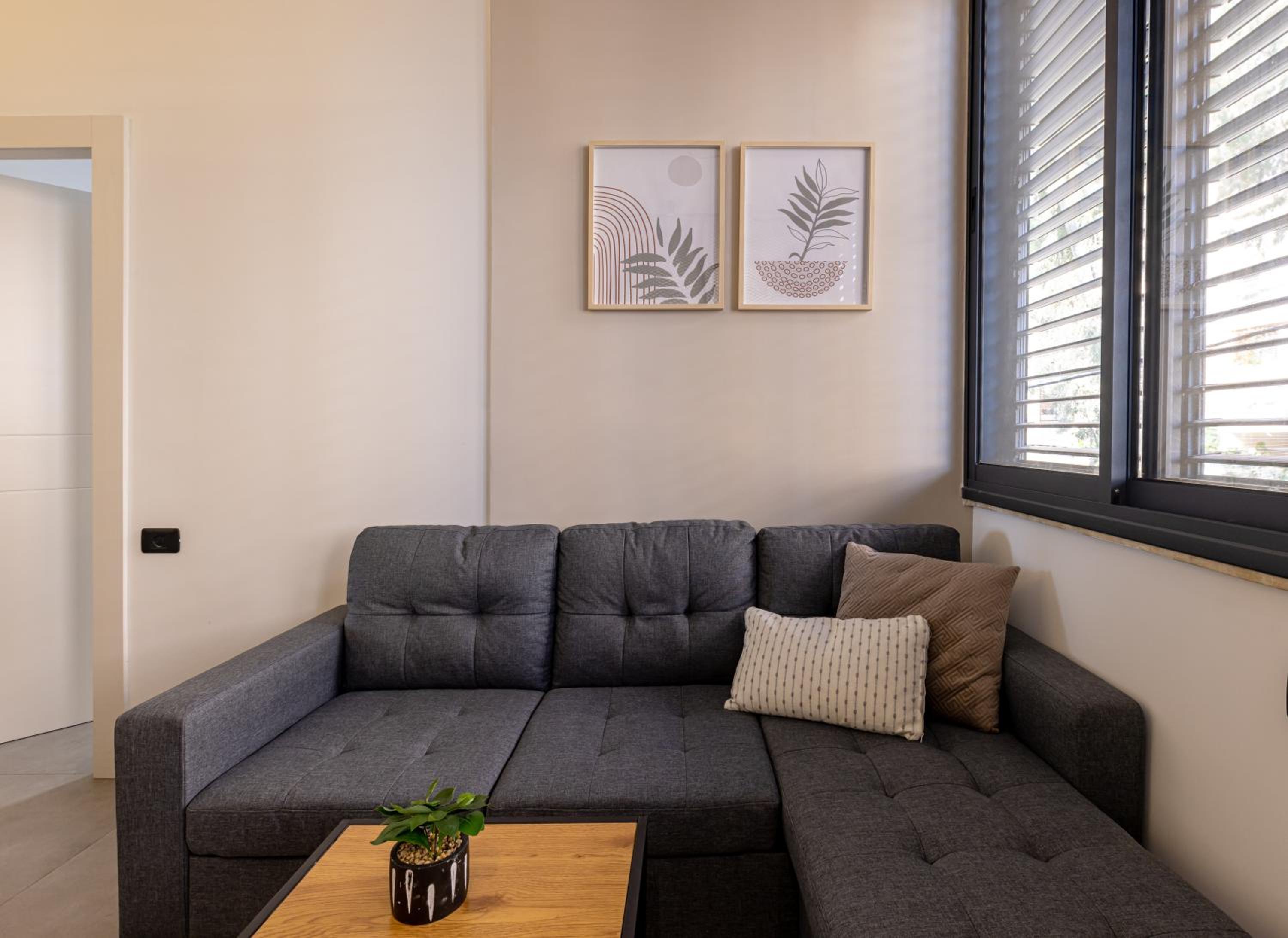 One-Bedroom Apartment photo 3