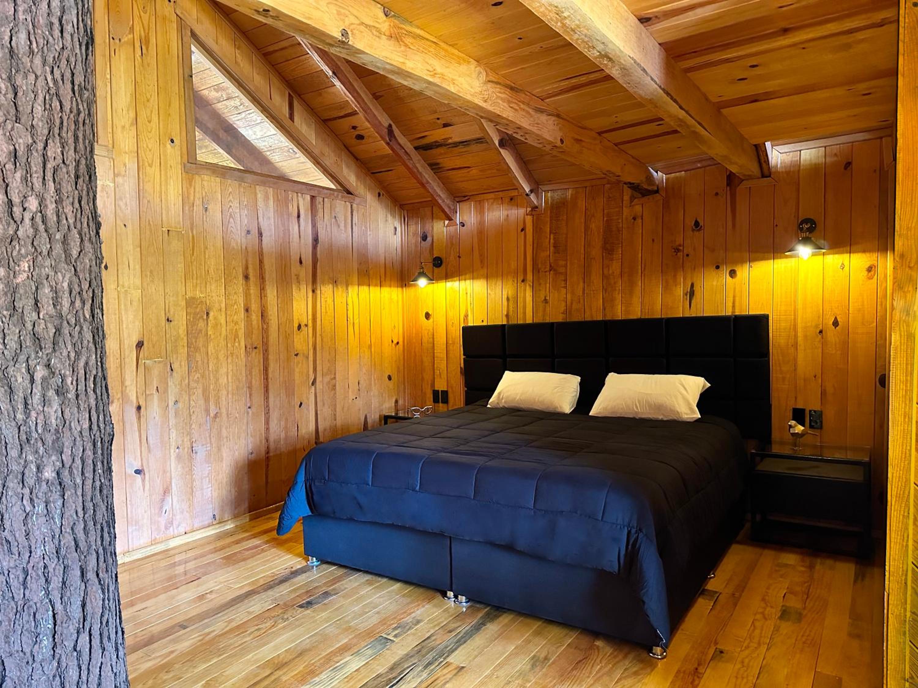 Junior Suite - Photo 16