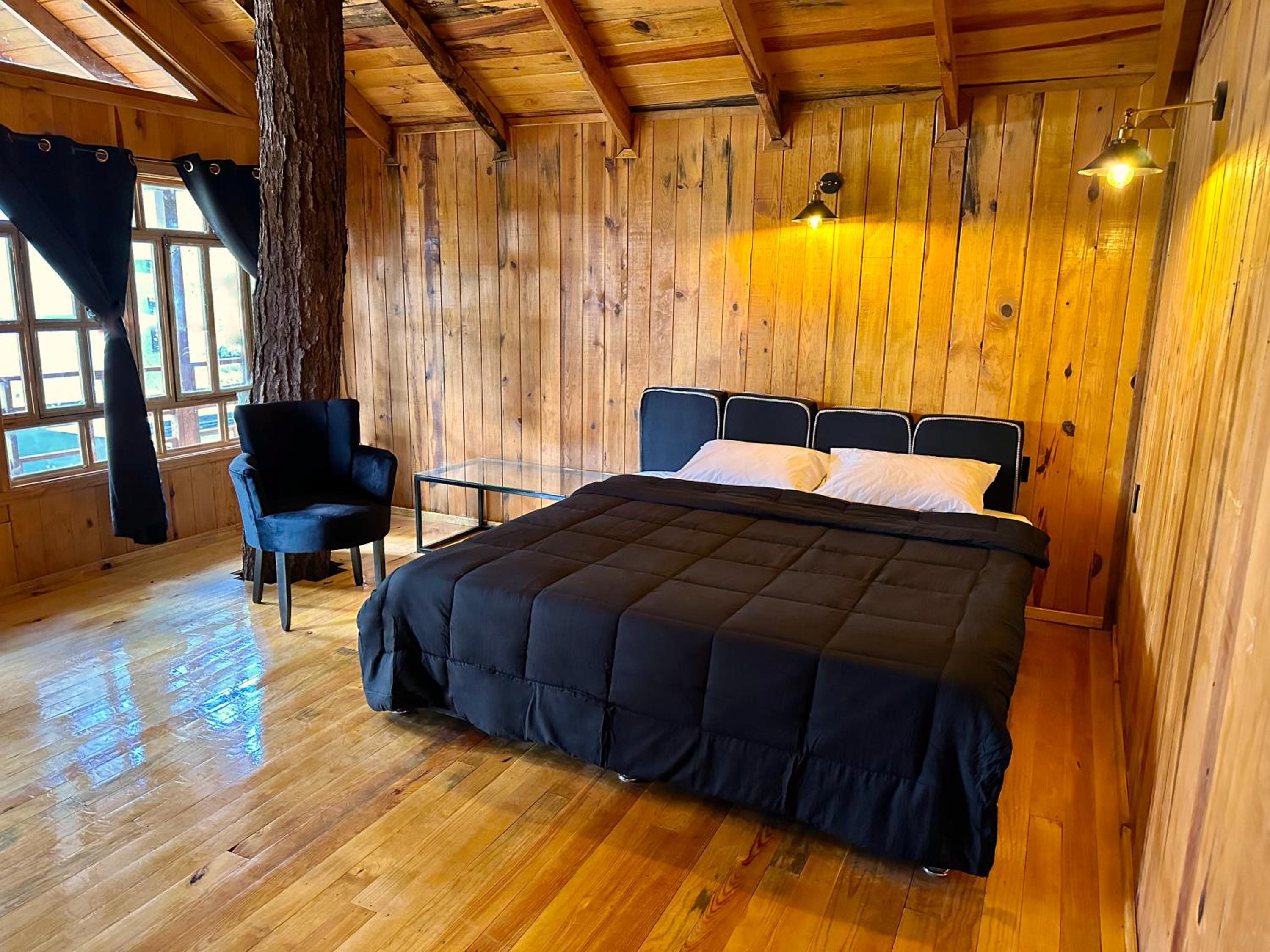 Junior Suite with Terrace - Photo 1