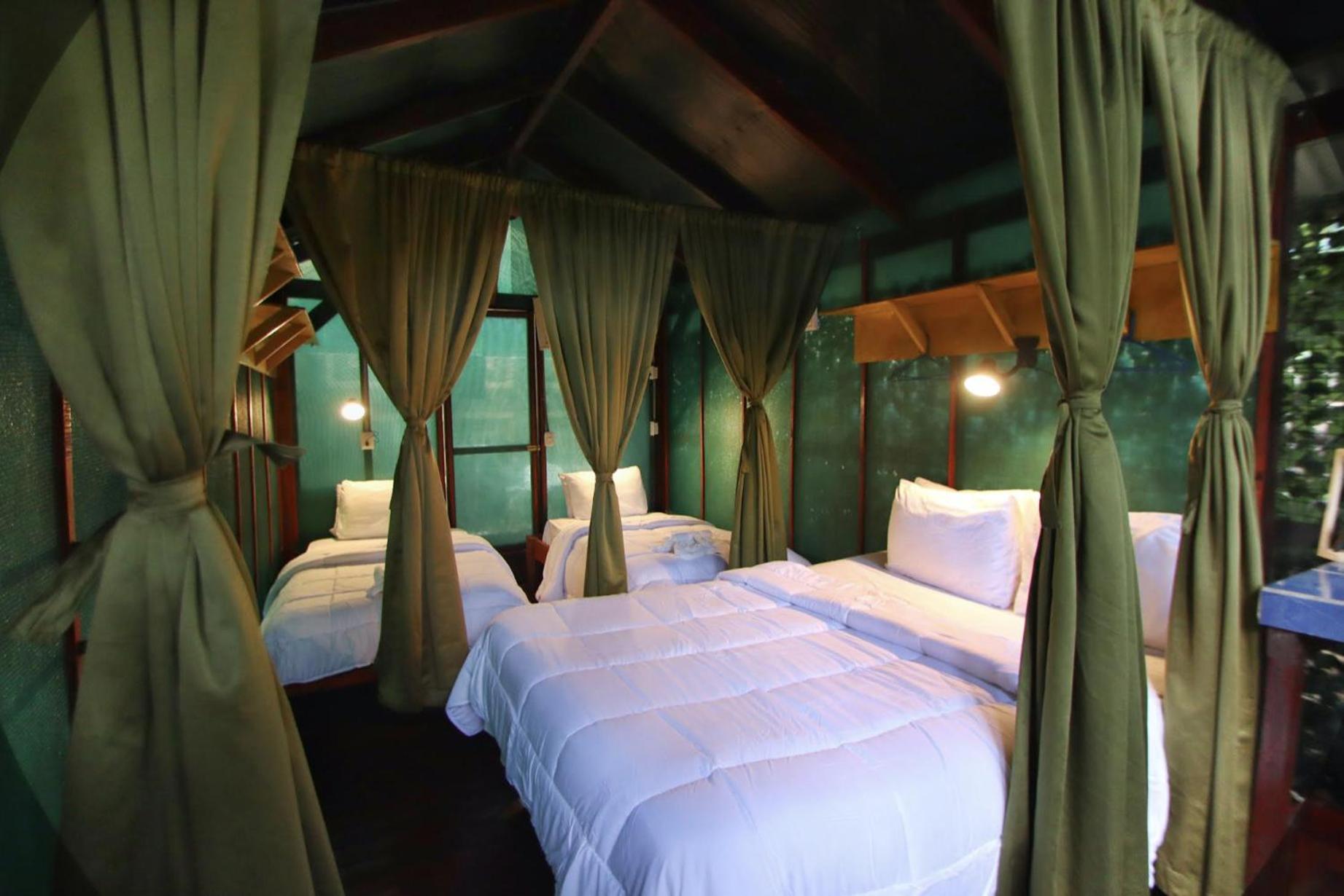 Glamping Hut  photo 3