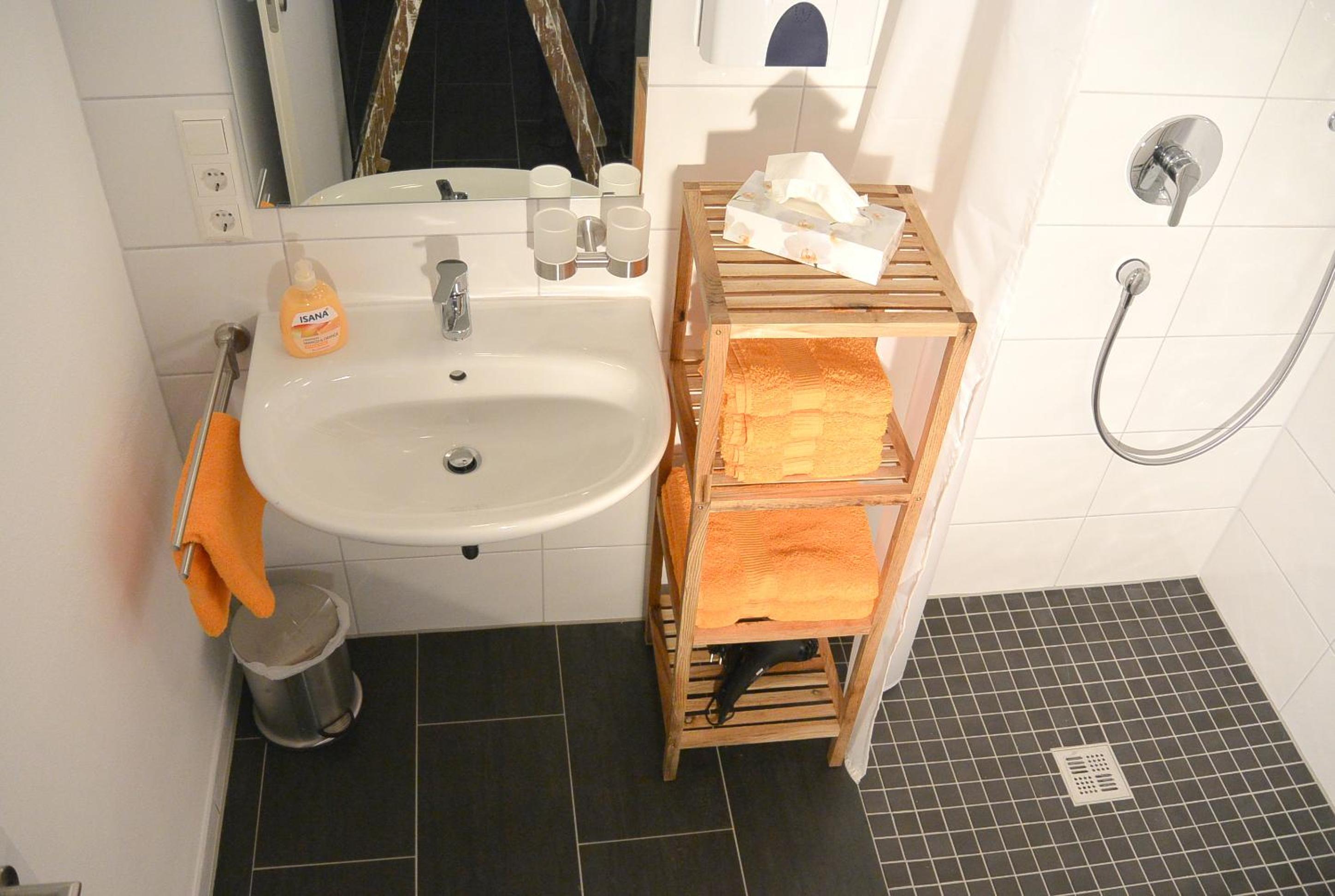 Duplex Apartment photo 3