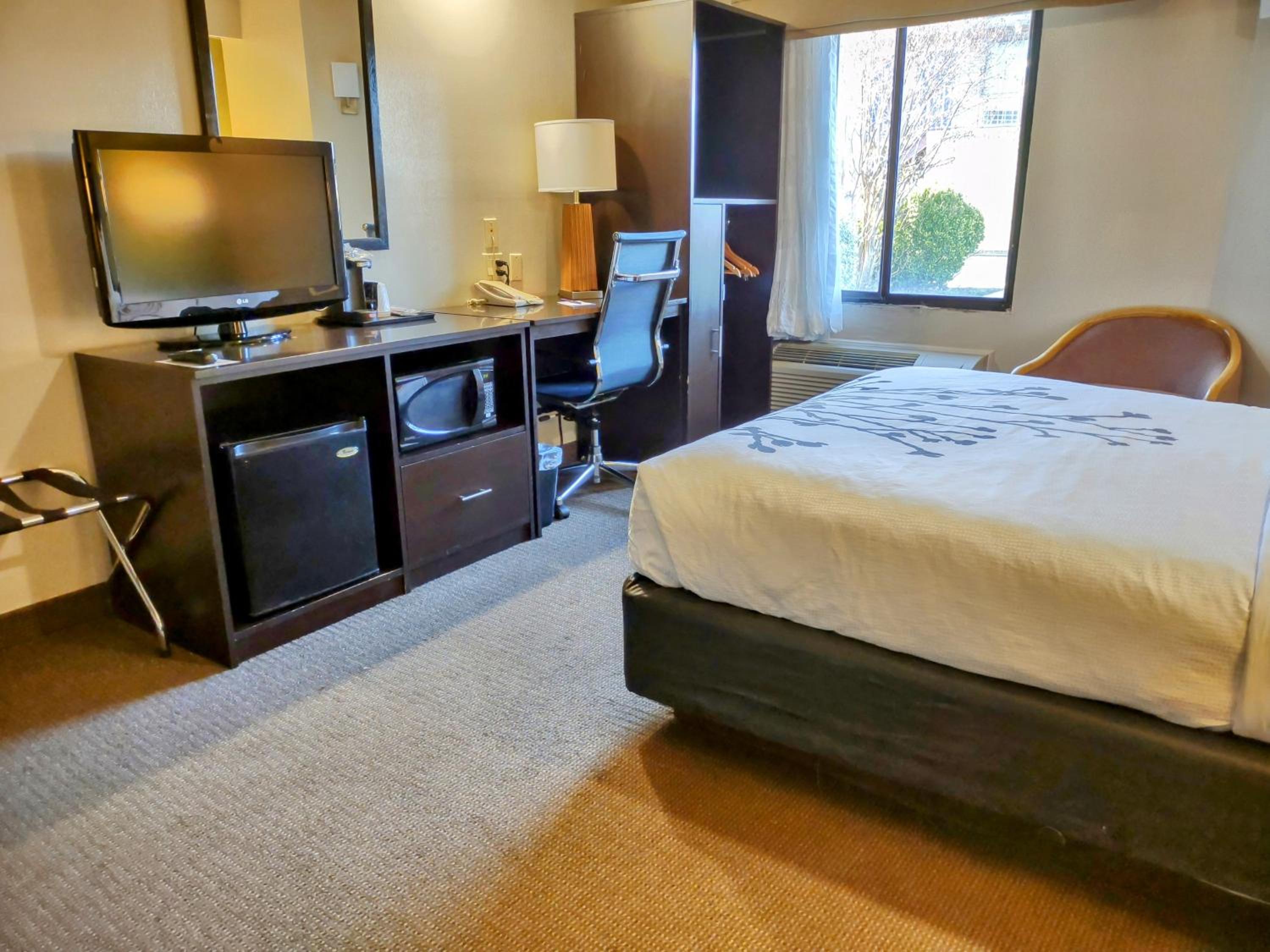 Queen Room - Accessible/Non-Smoking - Photo 6