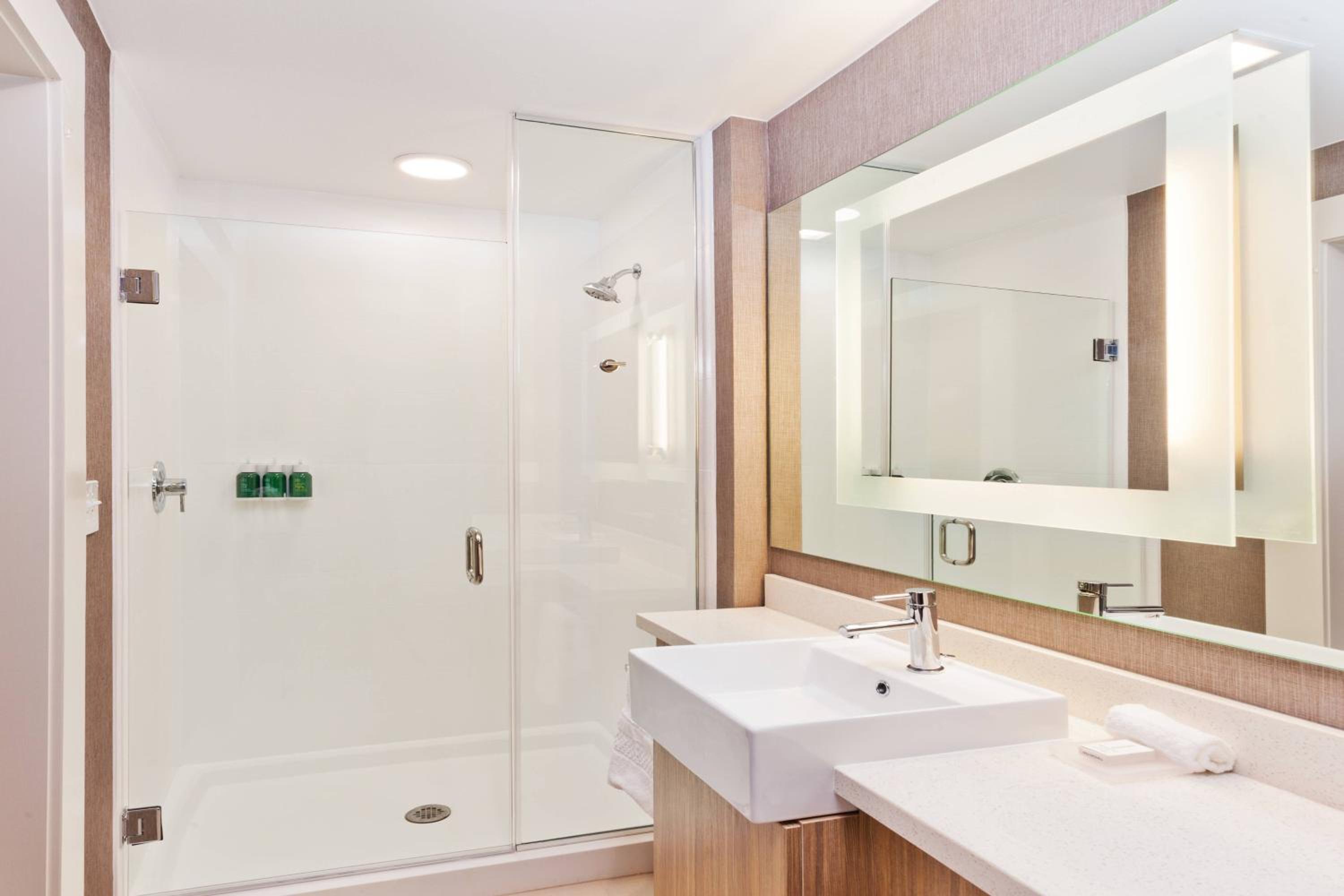SpringHill Suites by Marriott Montgomery Prattville/Millbrook, Billede 3