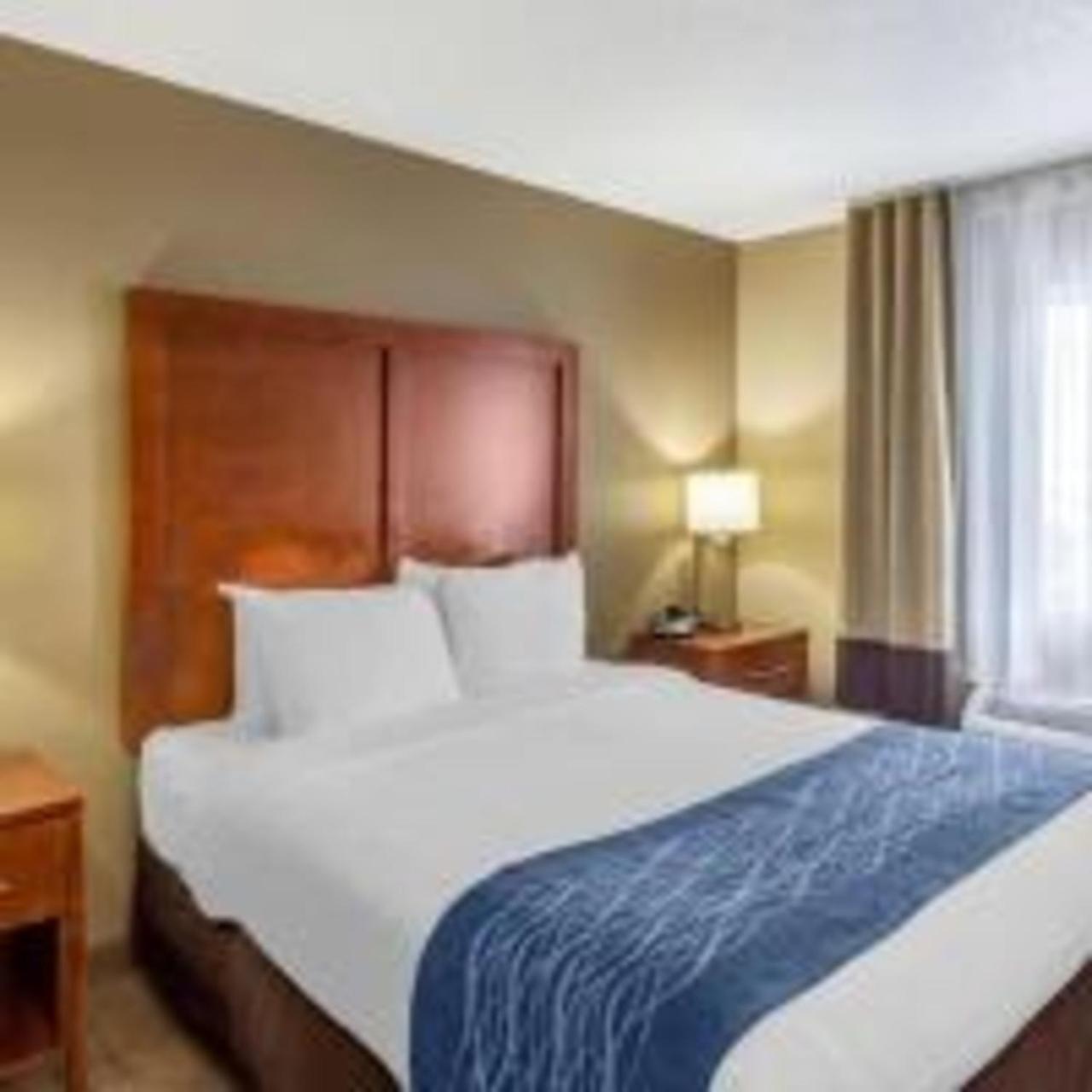 Queen Room with Roll-In Shower - Accessible/Non Smoking