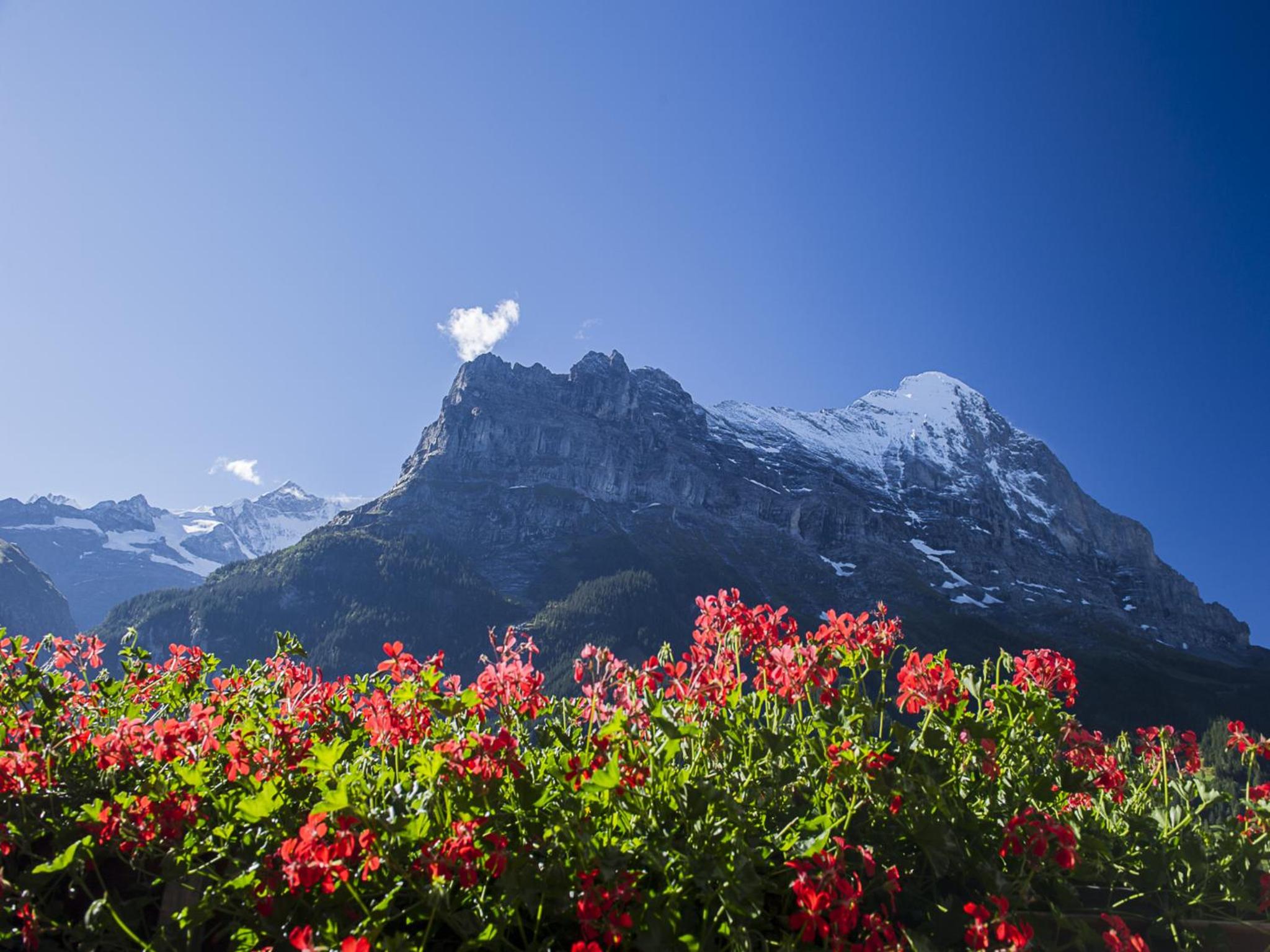 Superior Double Room with Eiger View - Photo 2
