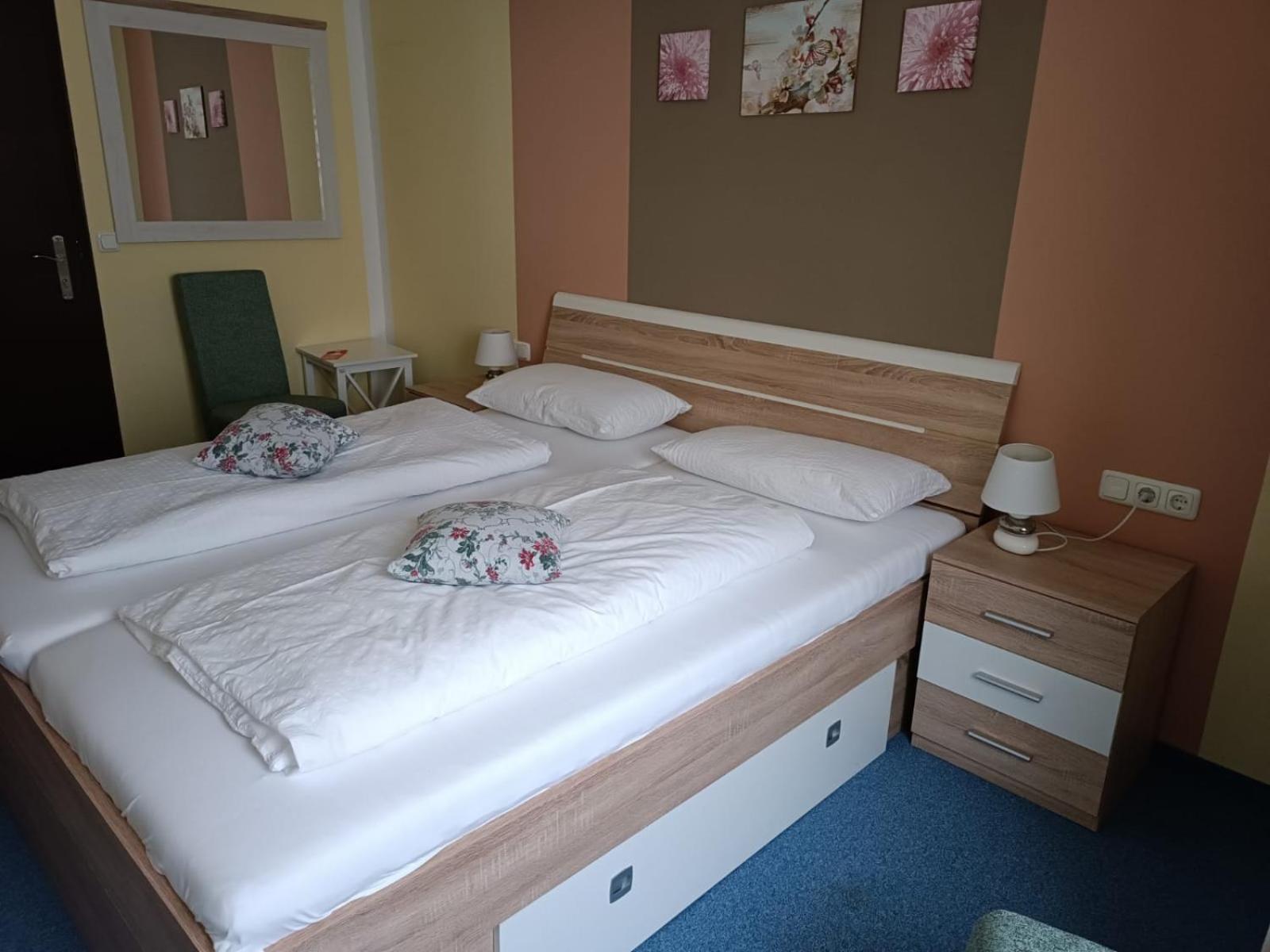 Large Double or Twin Room - Photo 13