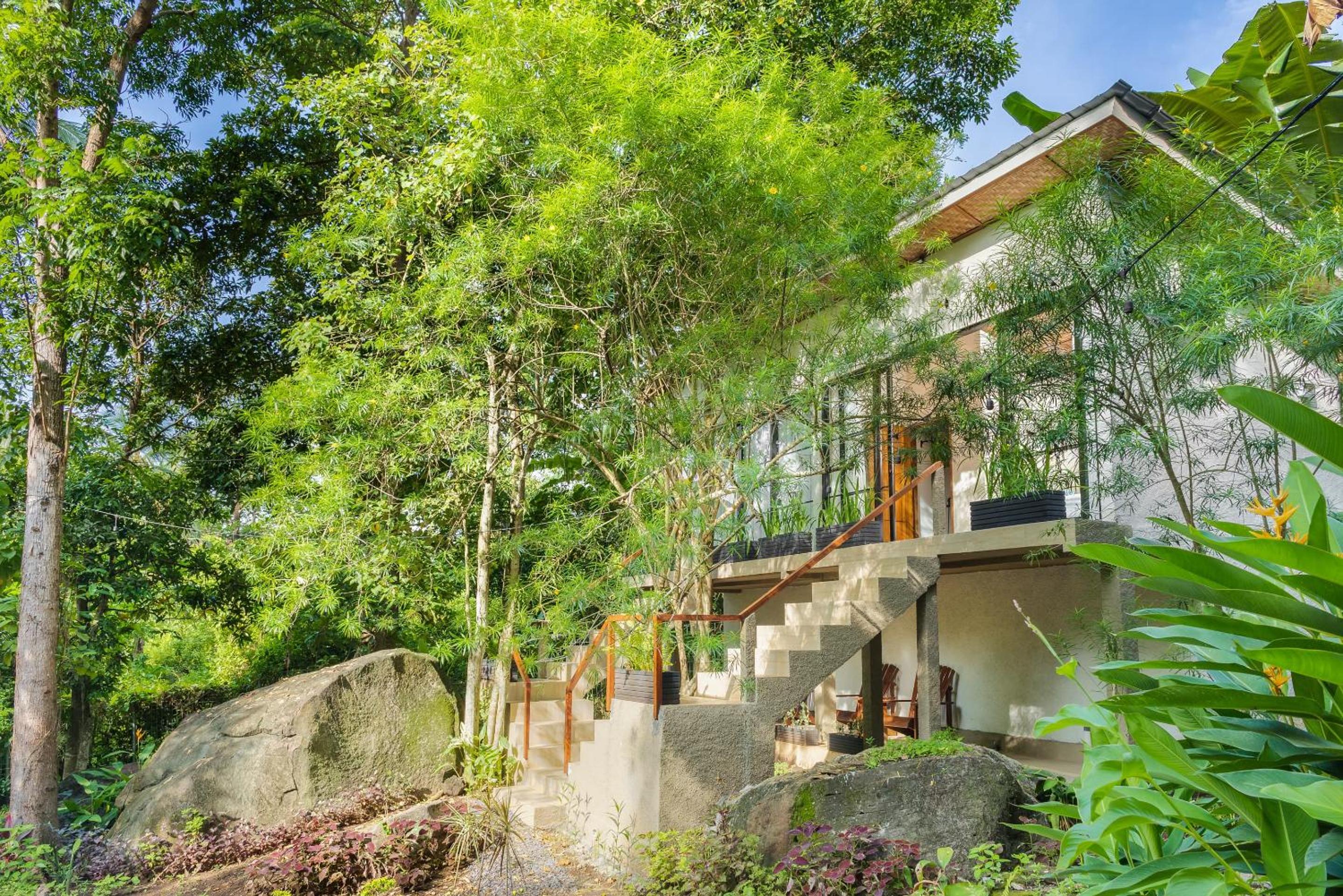 Single Room with Garden View photo 3