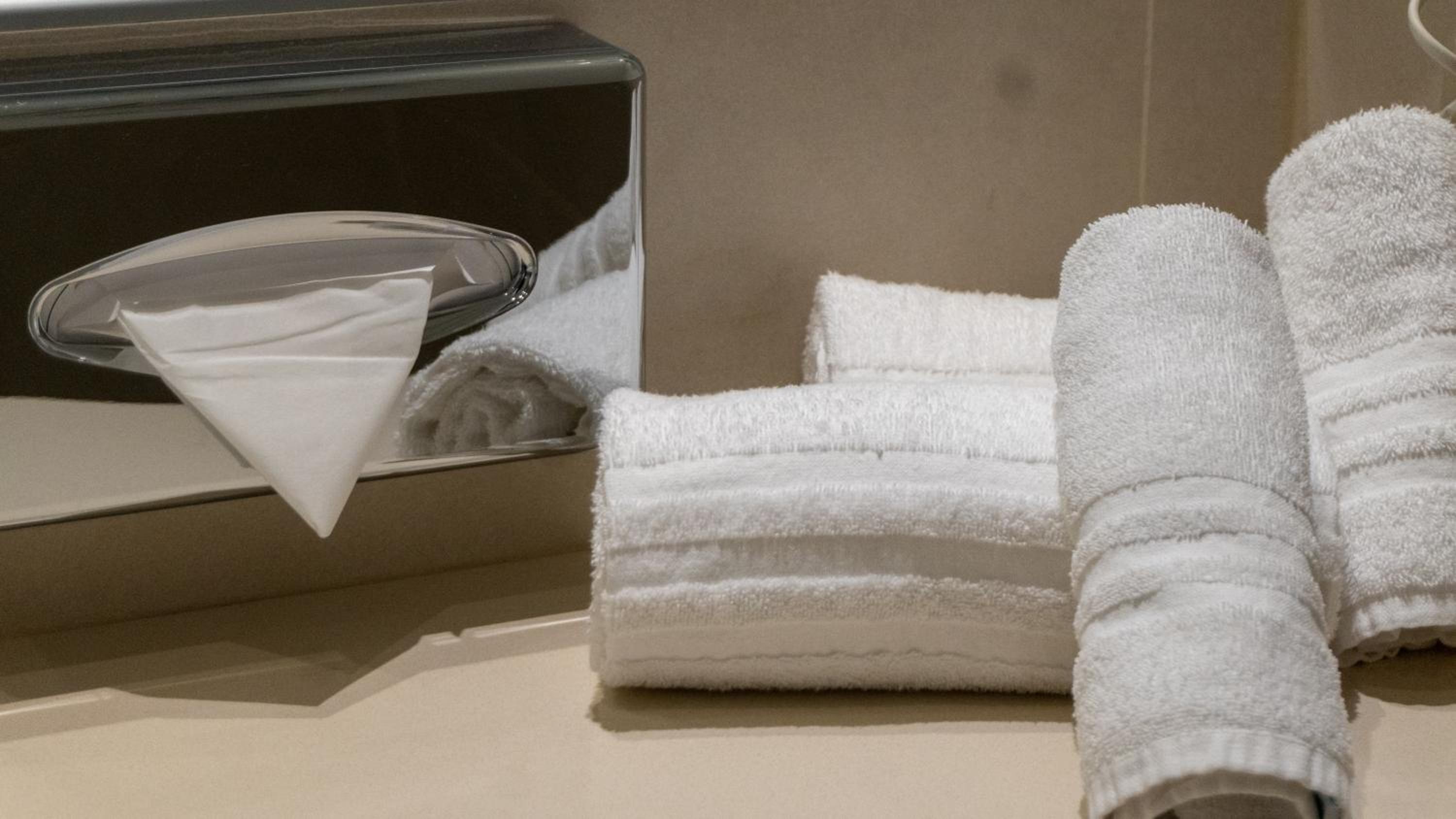 Suite - Photo 8