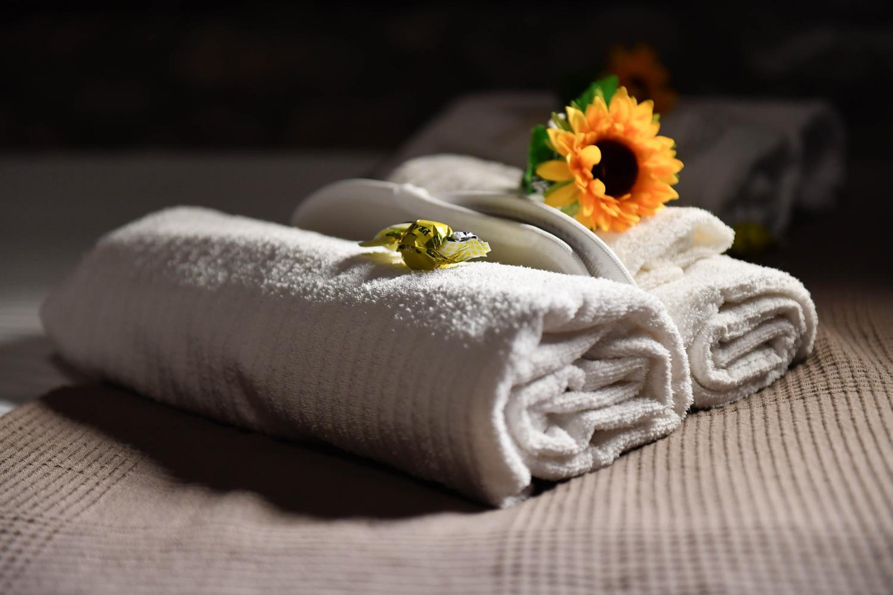 Deluxe Suite with Spa Bath - Photo 15