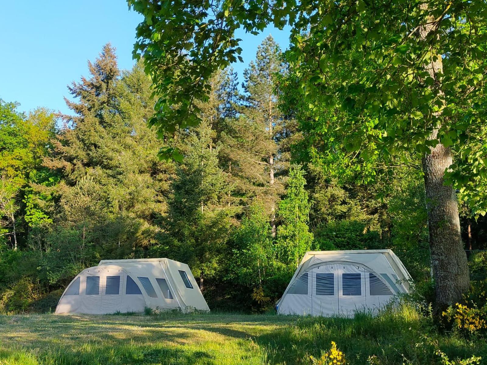 Tent photo 2