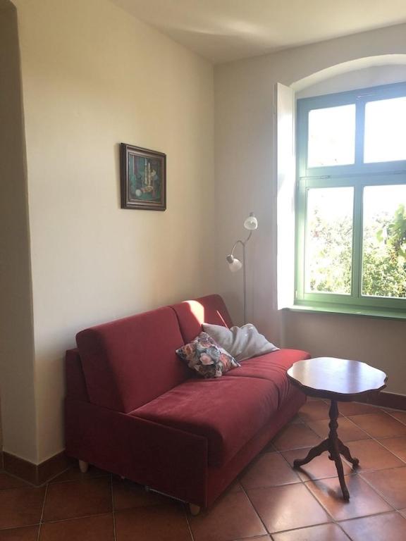 Apartment with Garden View photo 1