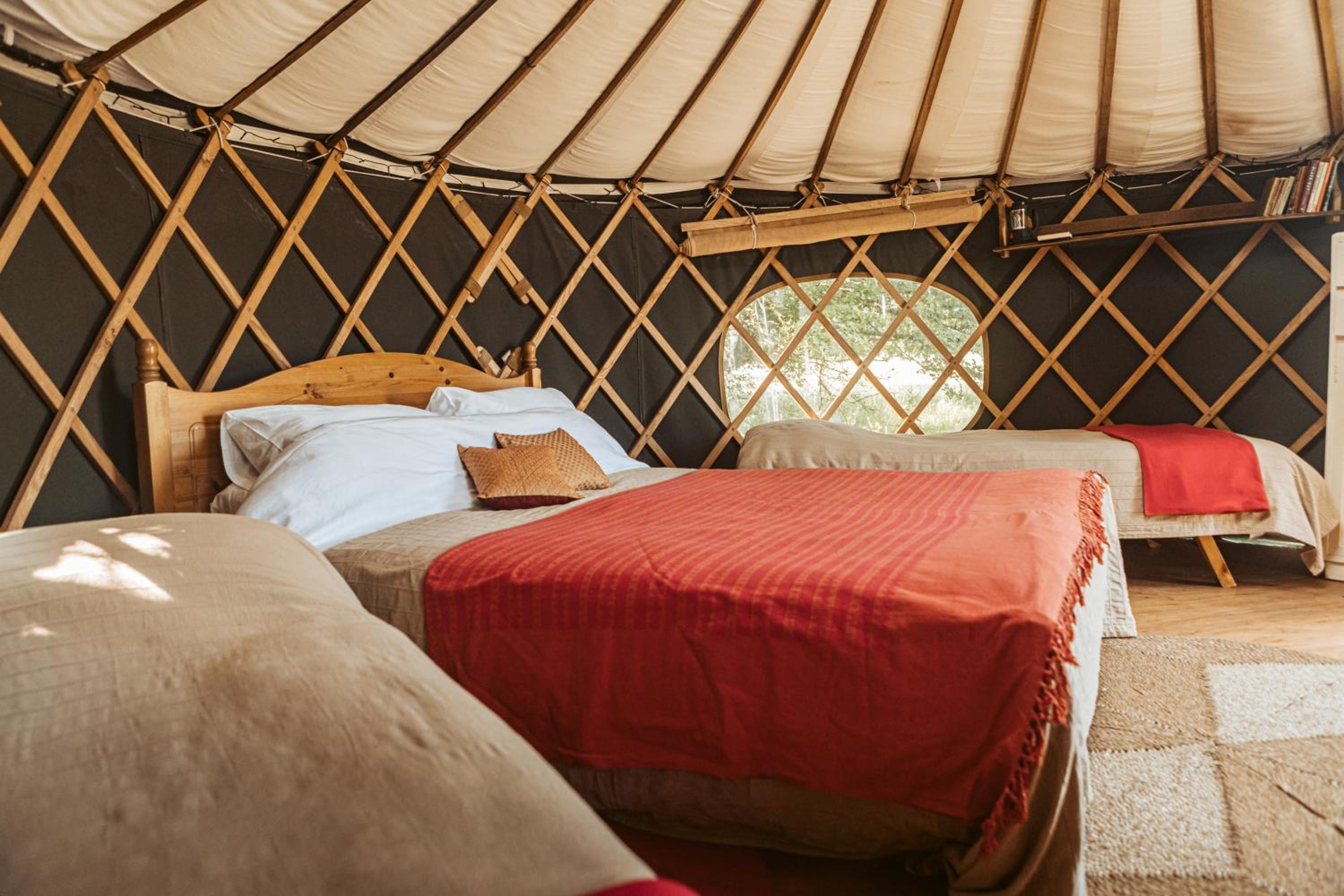 Tent photo 1