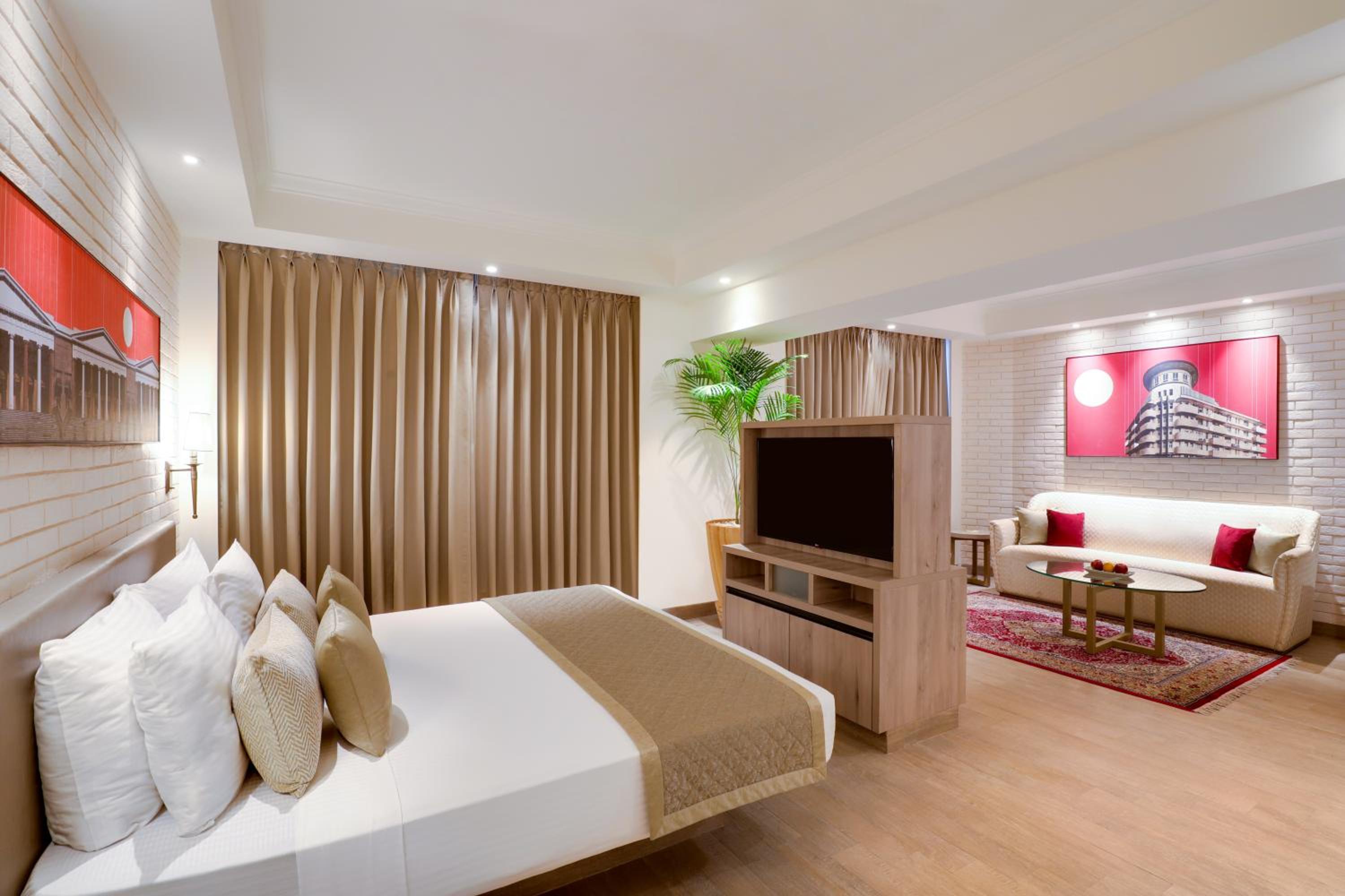 Studio Suite - Photo 2