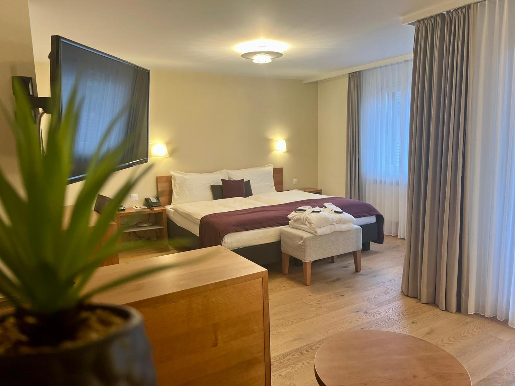 Junior Suite With Mountain View photo 1