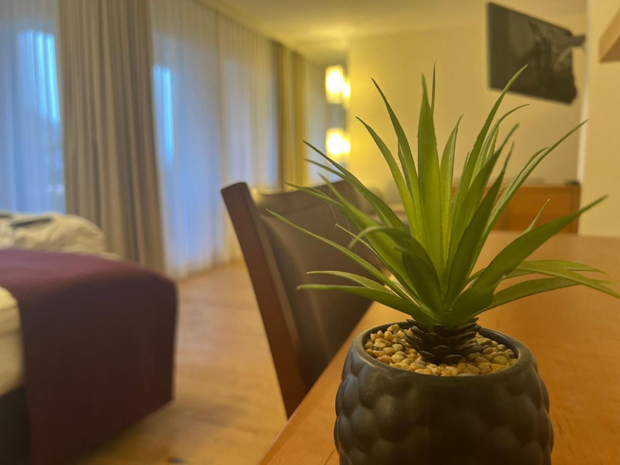 Junior Suite With Mountain View photo 2