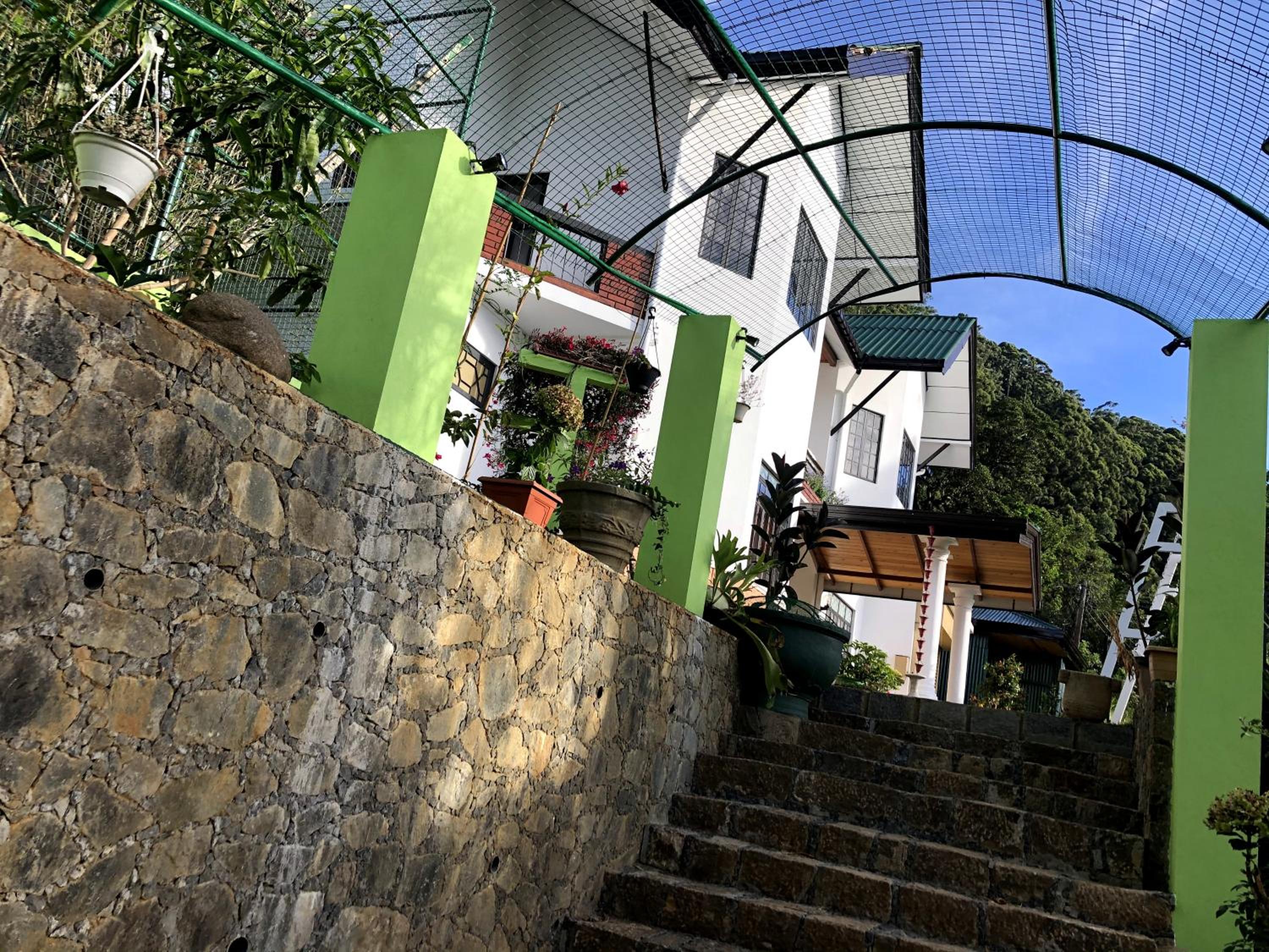 Double Room with Garden View photo 3