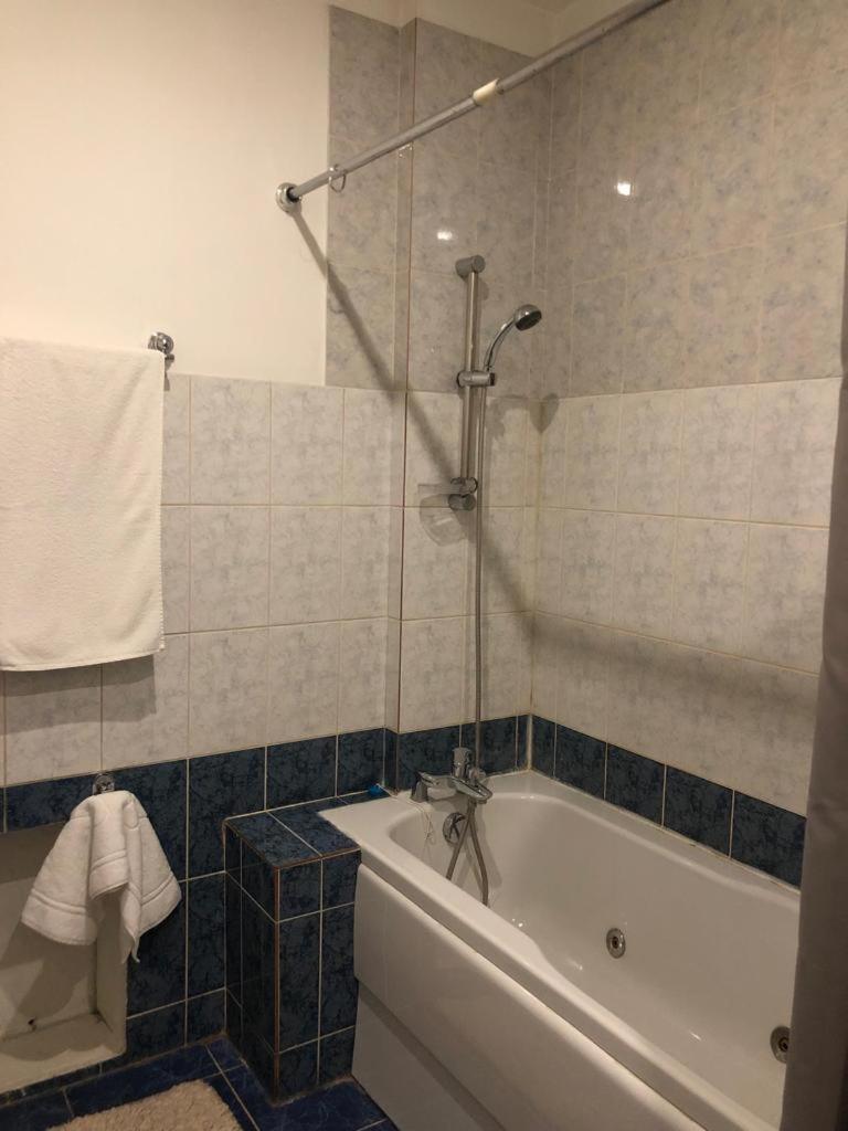 Suite - Photo 1