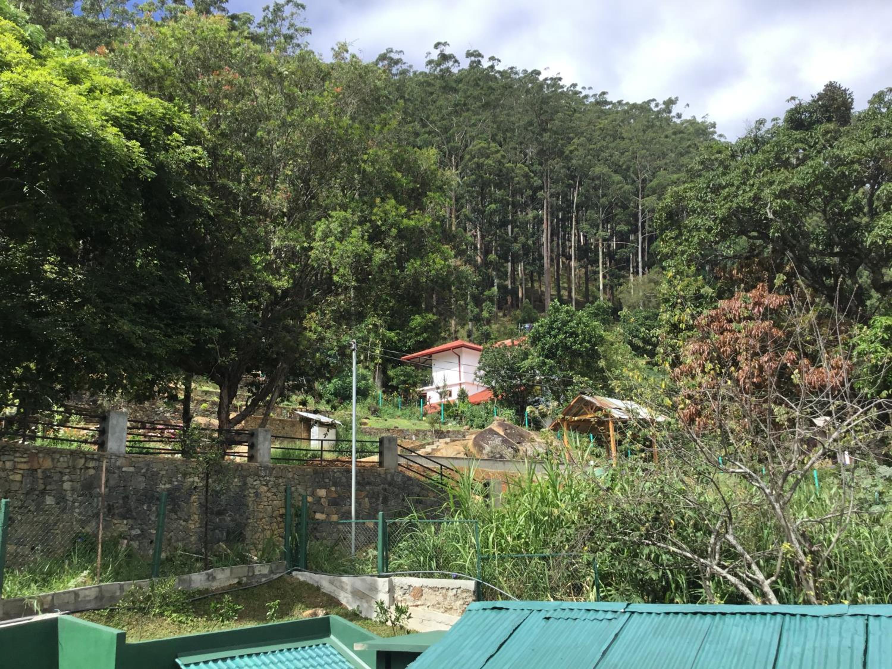 Triple Room with Mountain View photo 2