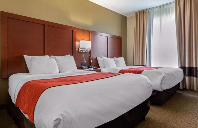 Queen Suite With Two Queen Beds - Non-Smoking - Photo 1
