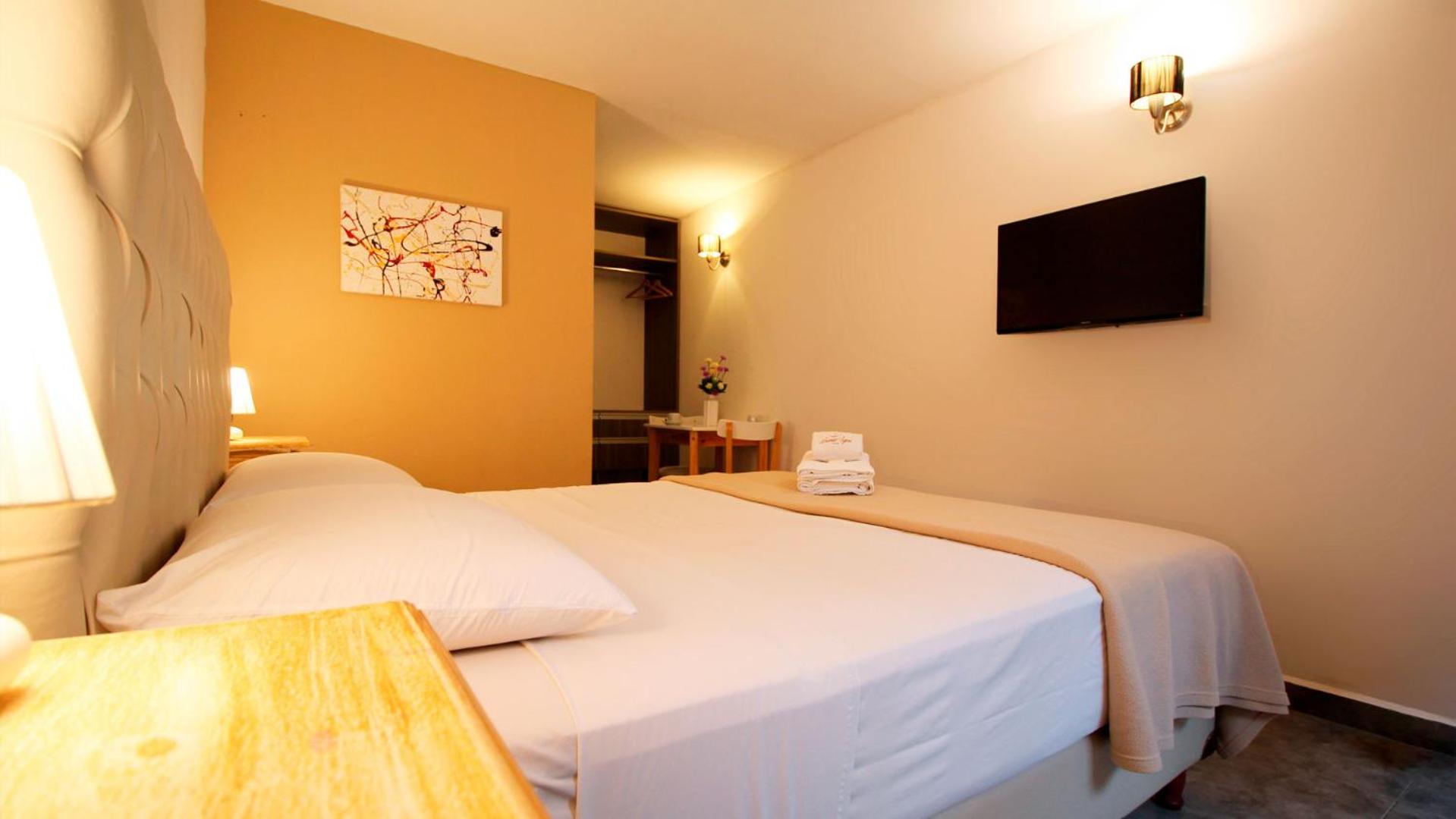 Premium Double Room photo 1