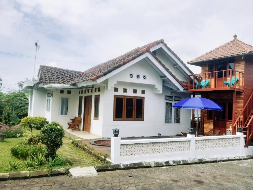 Superior Villa photo 1