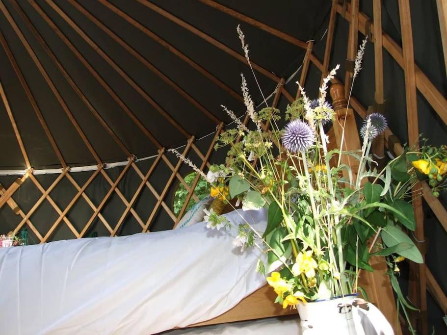 Luxury Tent photo 1