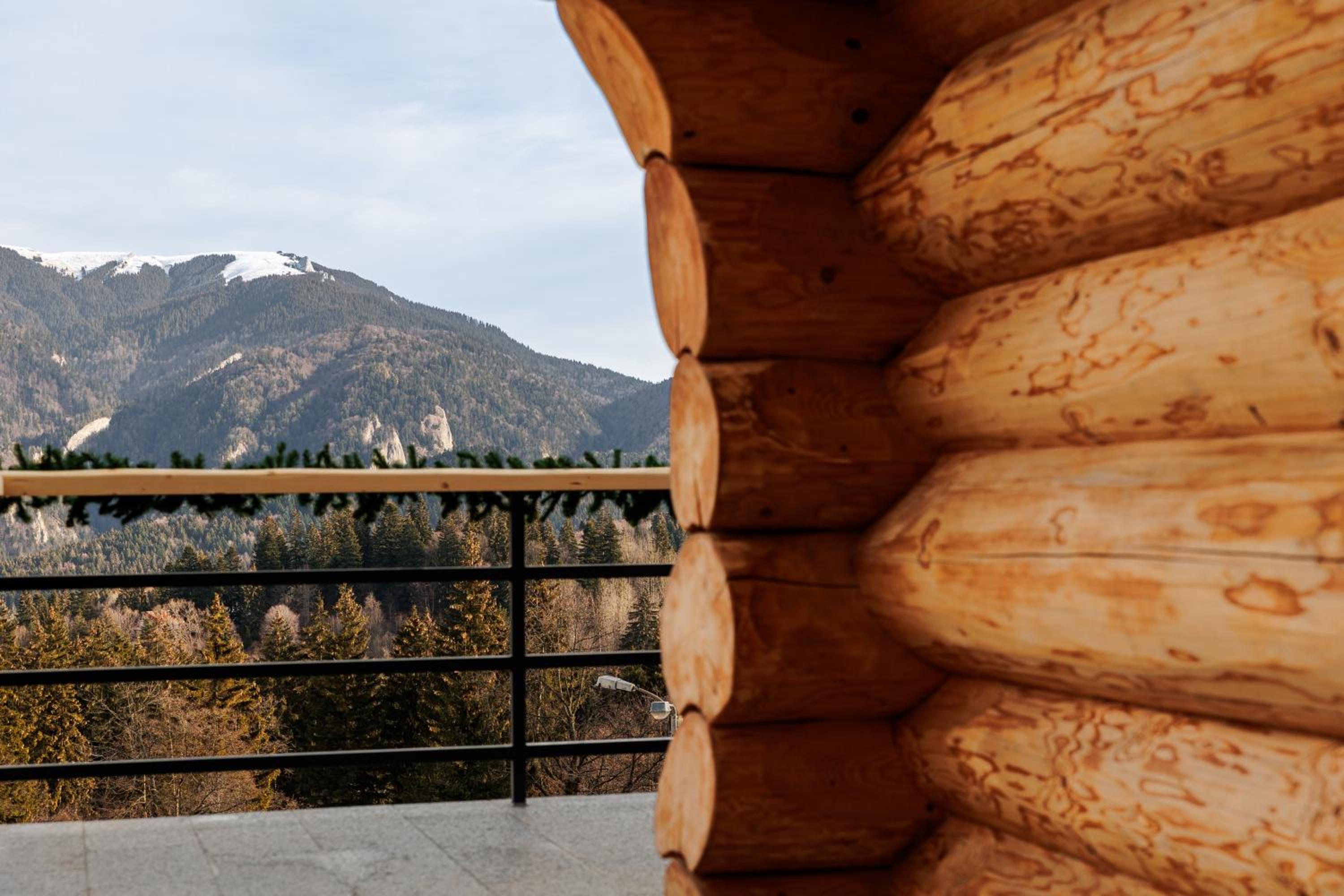 Chalet - Photo 6