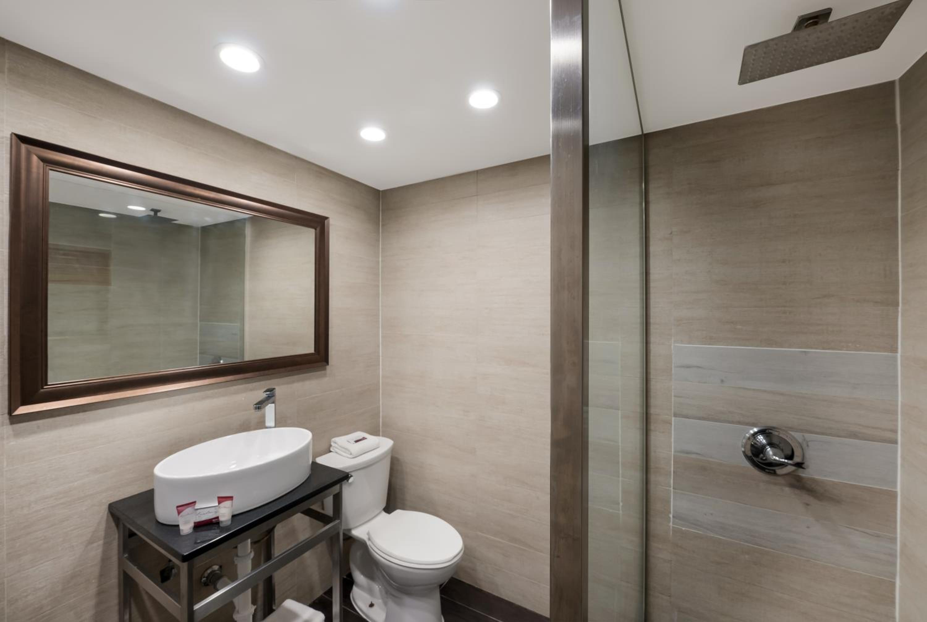 Deluxe King Room - Photo 14
