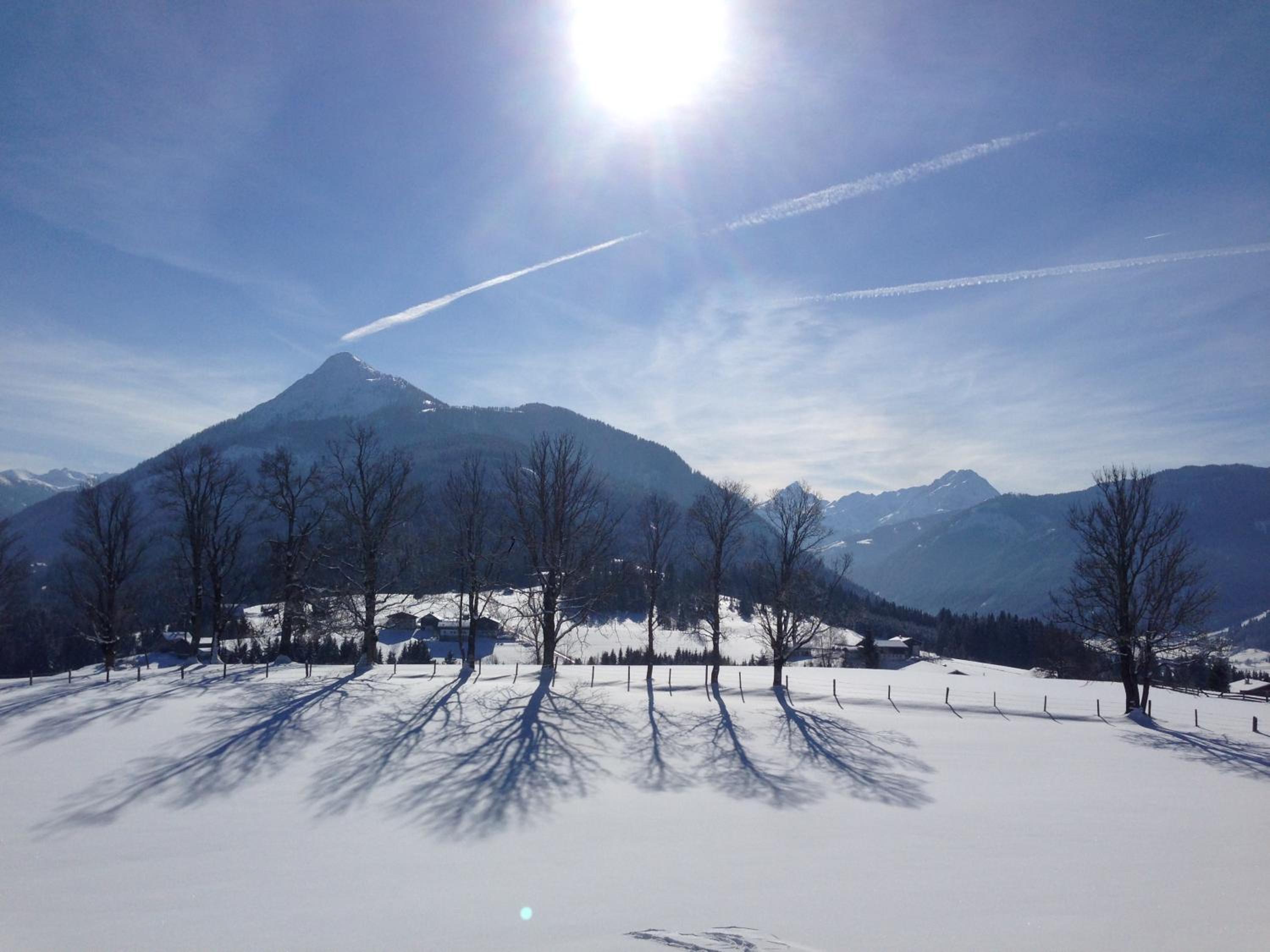 Chalet - Photo 18