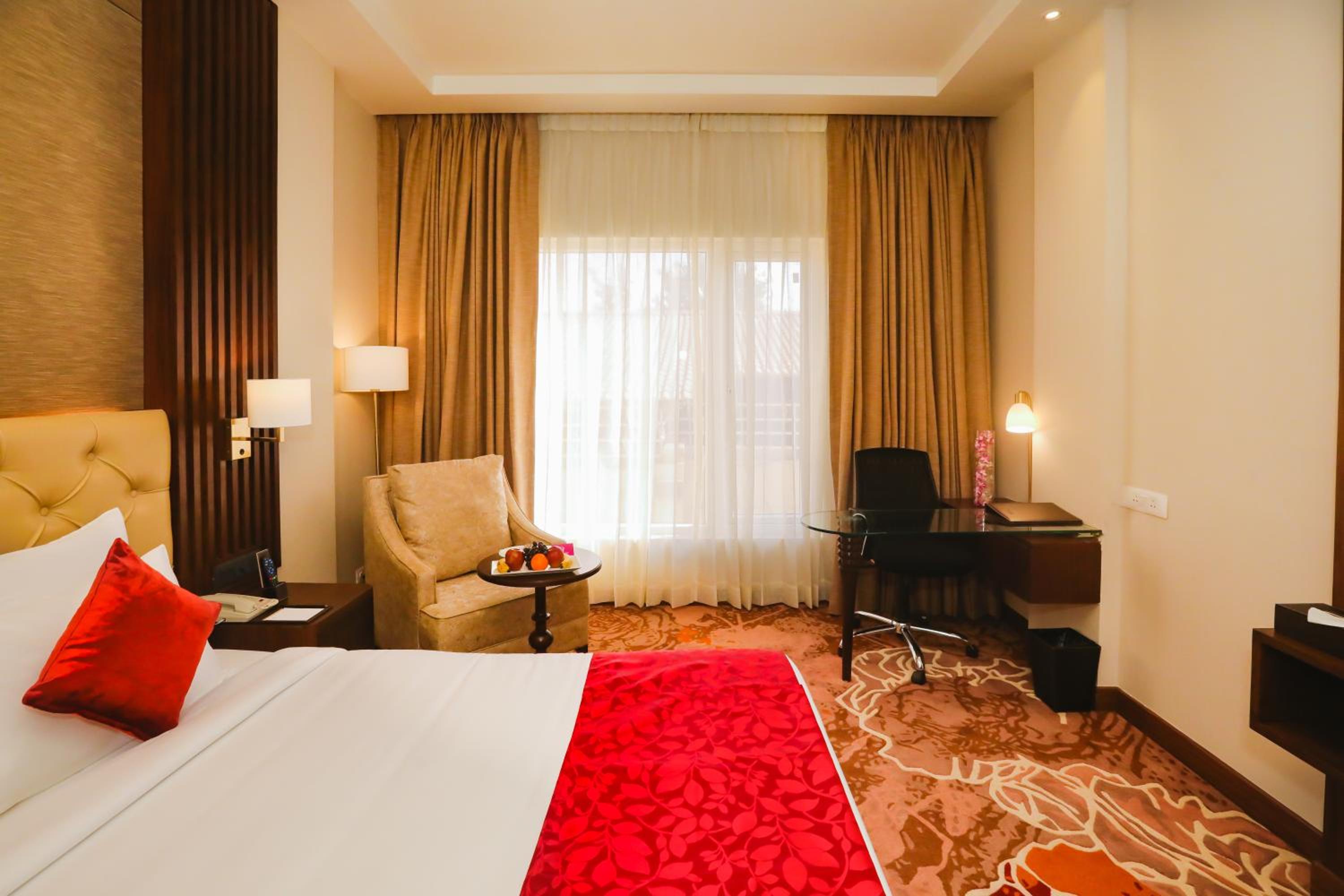 Suite - Photo 4