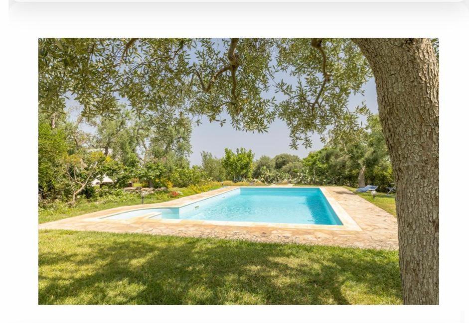 Two-Bedroom Apartment with Pool View photo 3