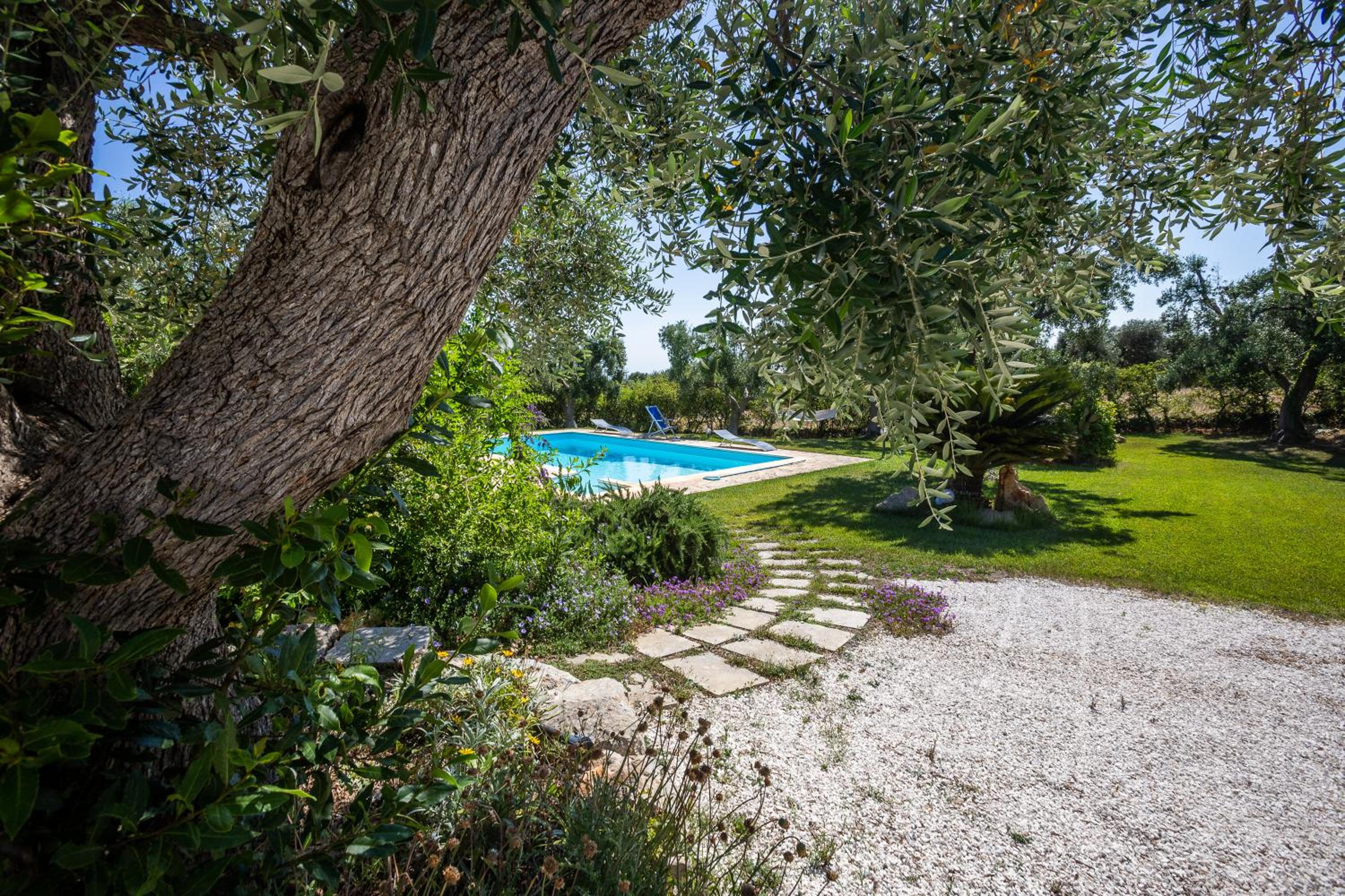 Two-Bedroom Apartment with Pool View photo 2