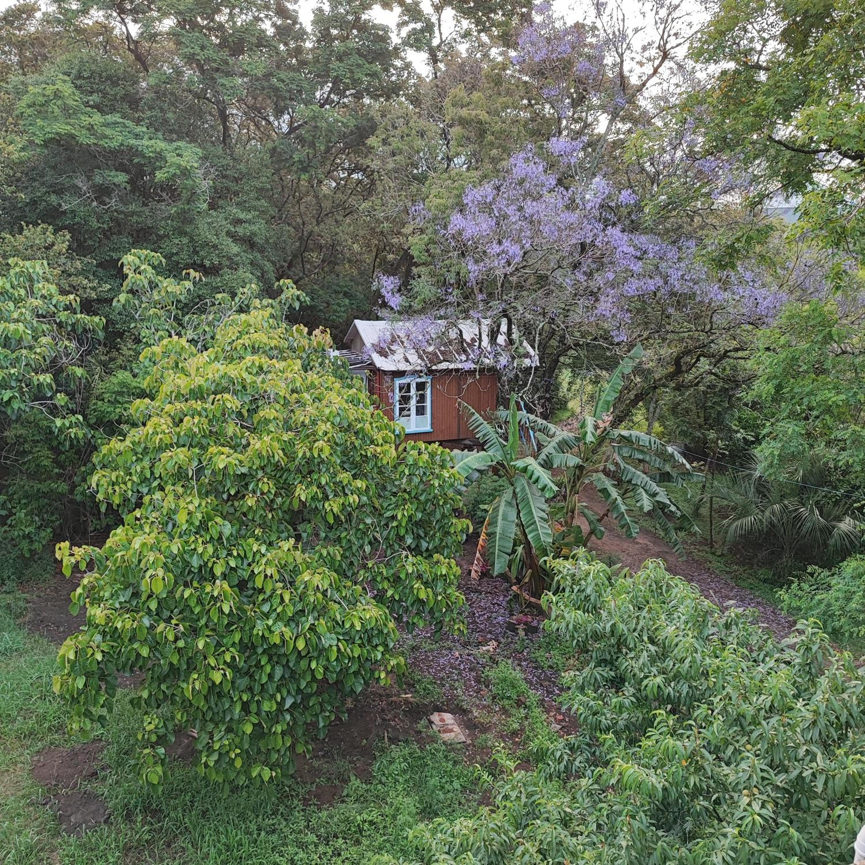 Superior Bungalow photo 3