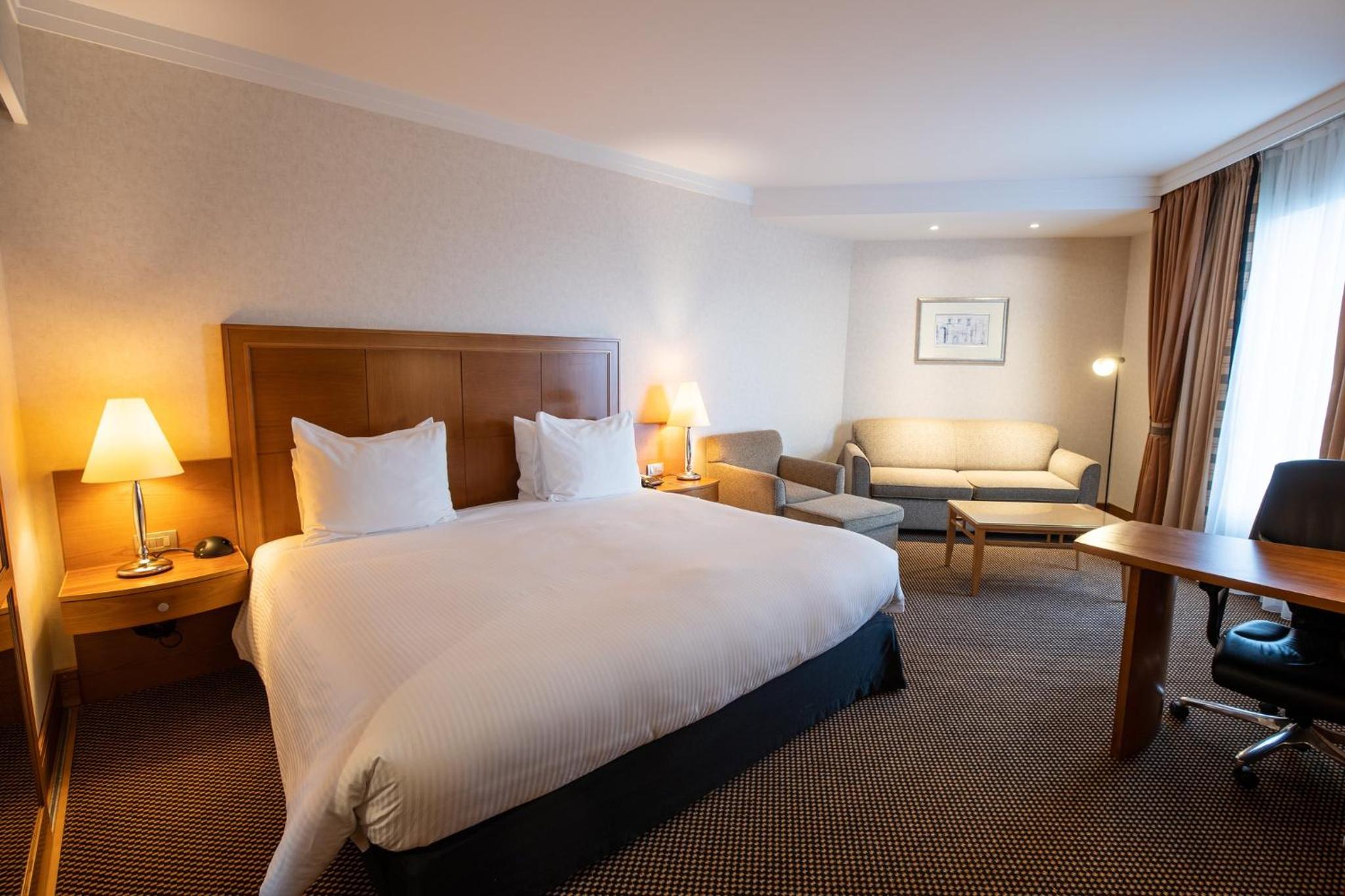 Junior King Suite with Park View - Photo 8