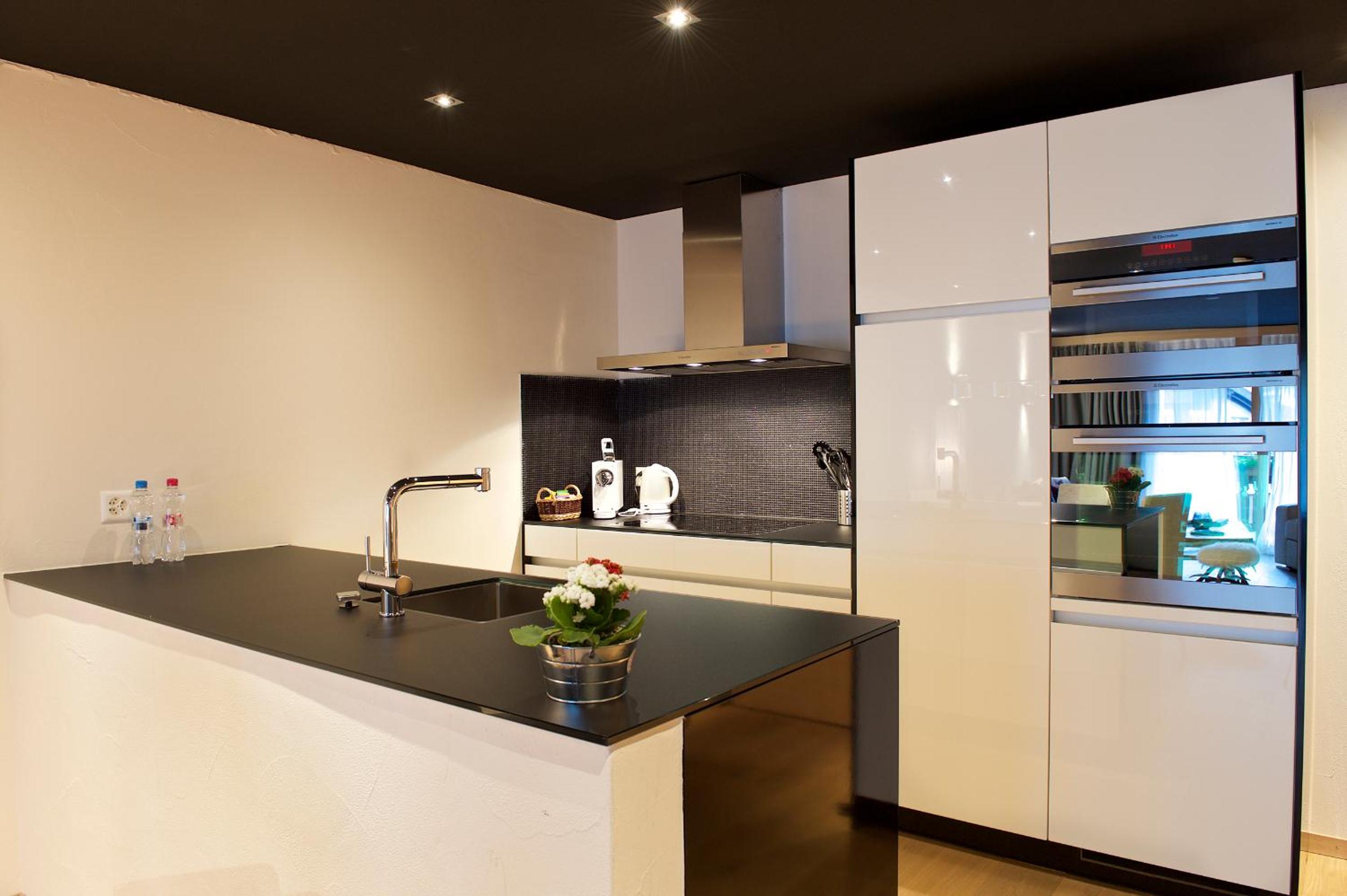 Panorama Apartment Suite with Matterhorn View