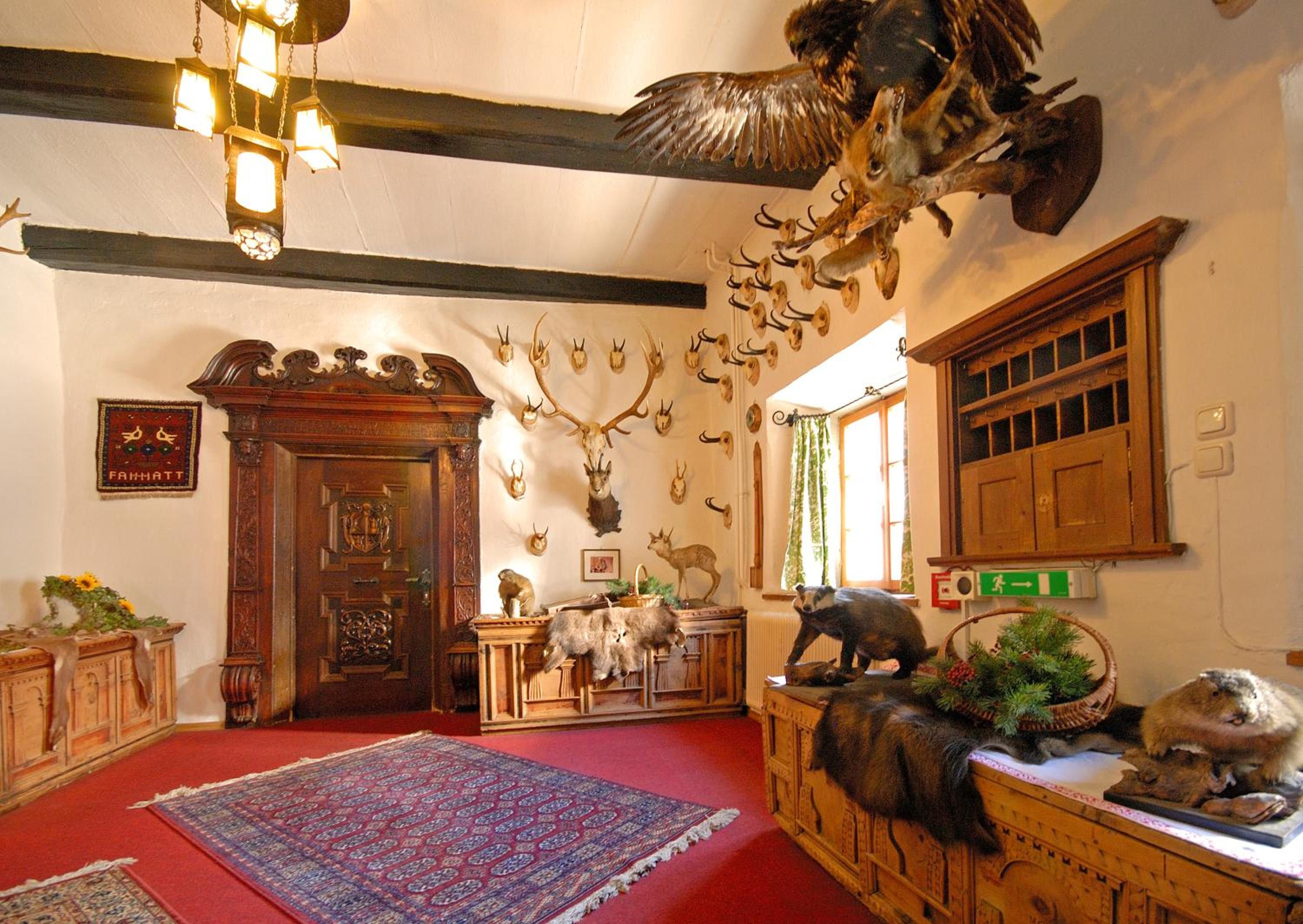 Suite - Photo 5
