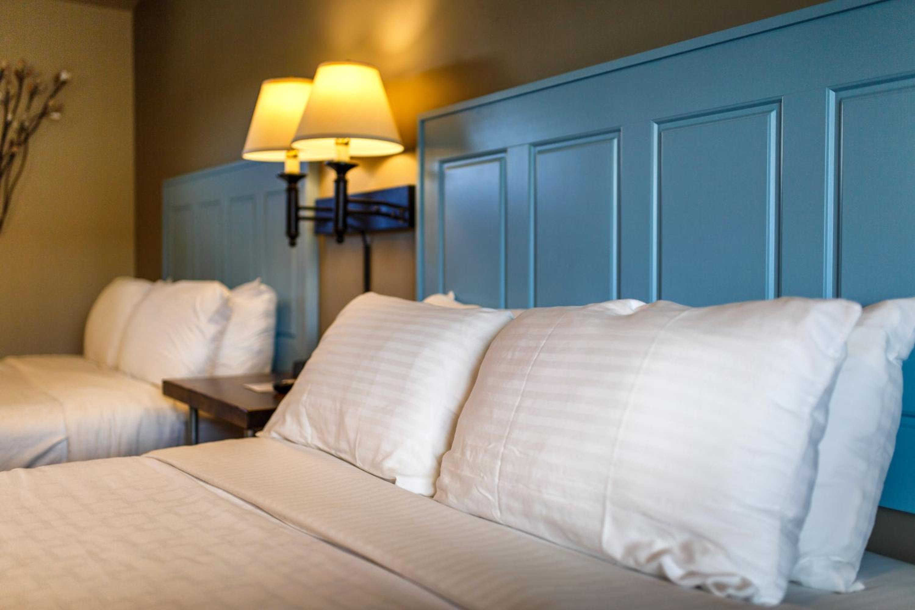 2 Queen Room (Pet Friendly) photo 2