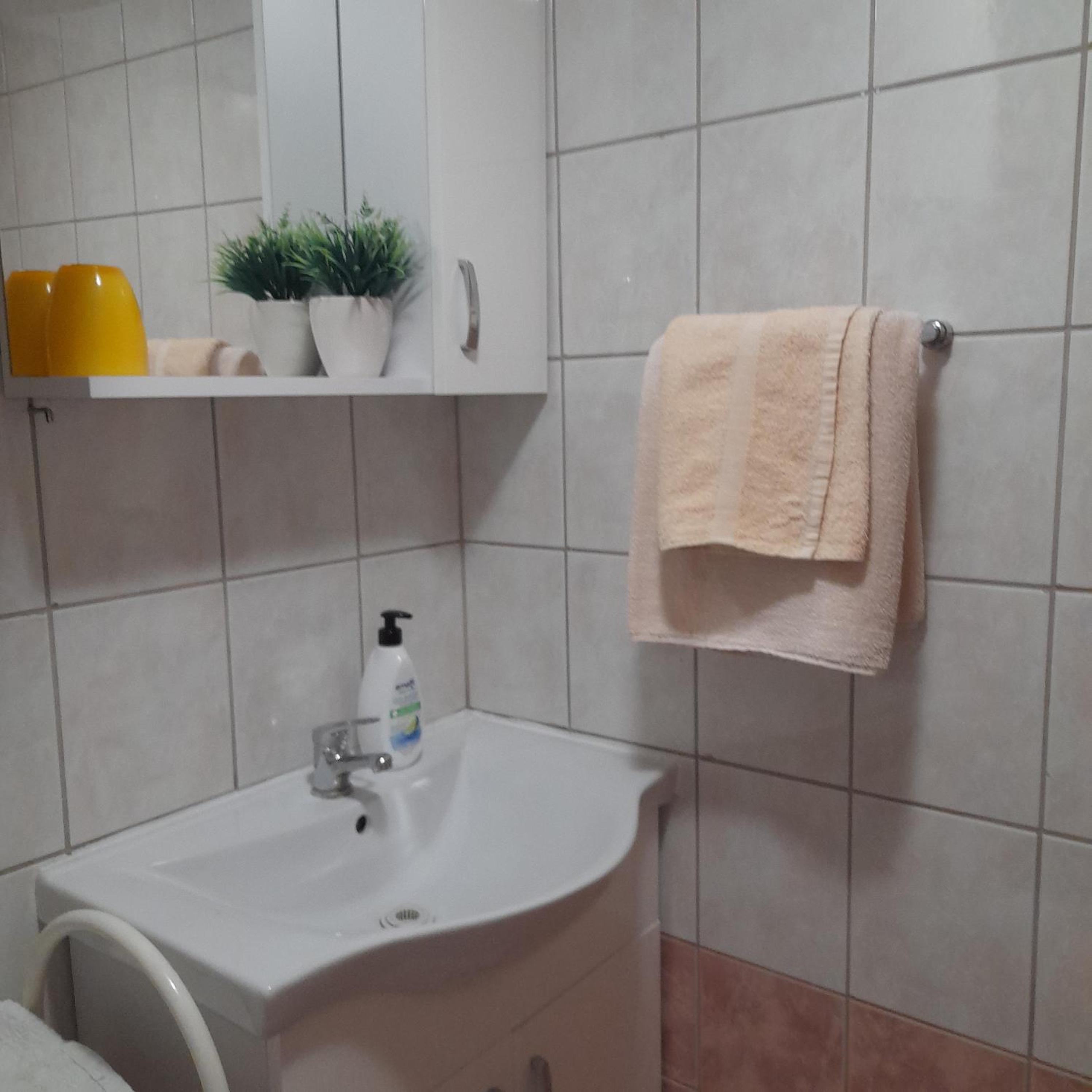 Apartment with Terrace photo 3