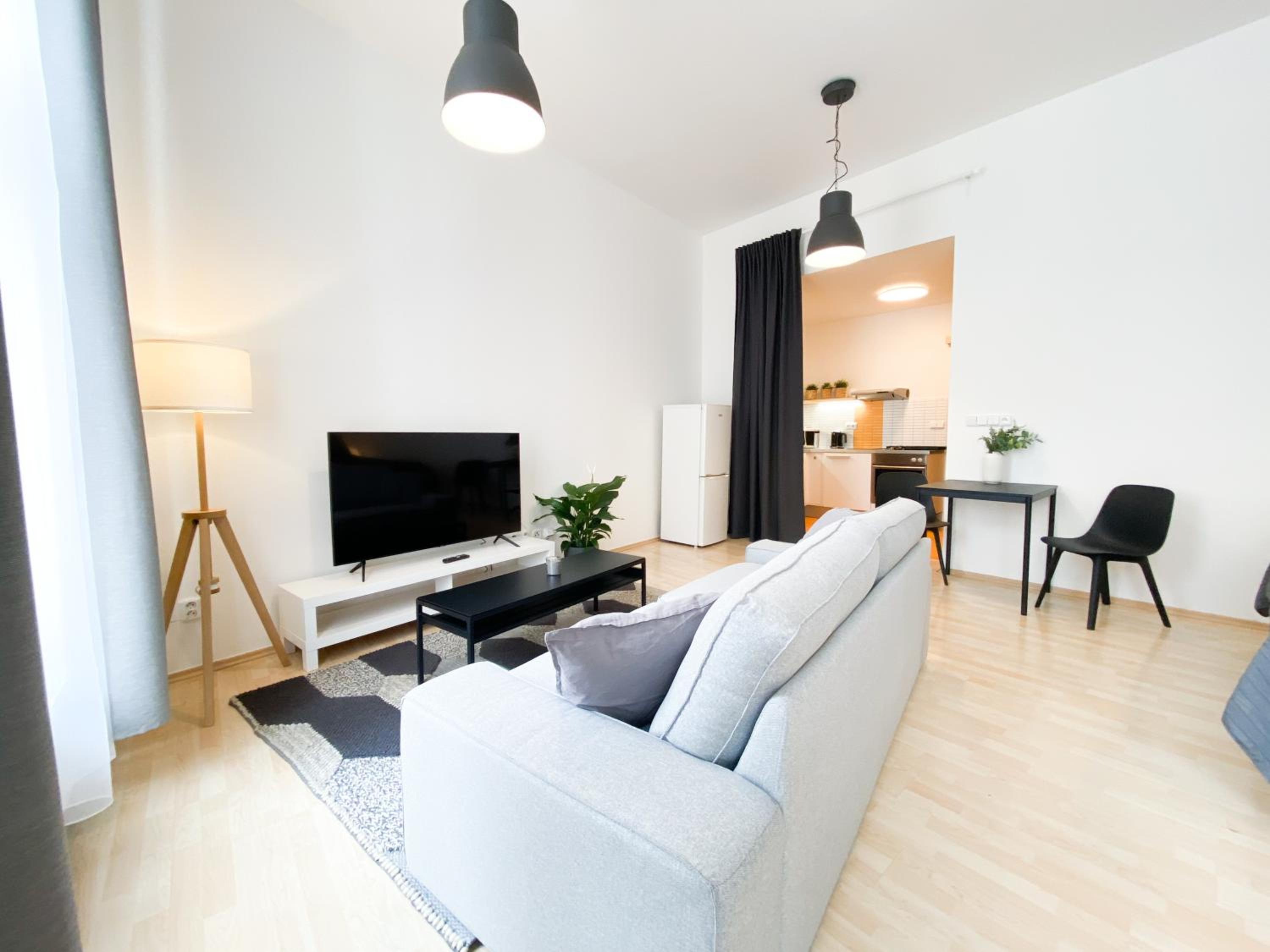 Studio Apartment photo 3
