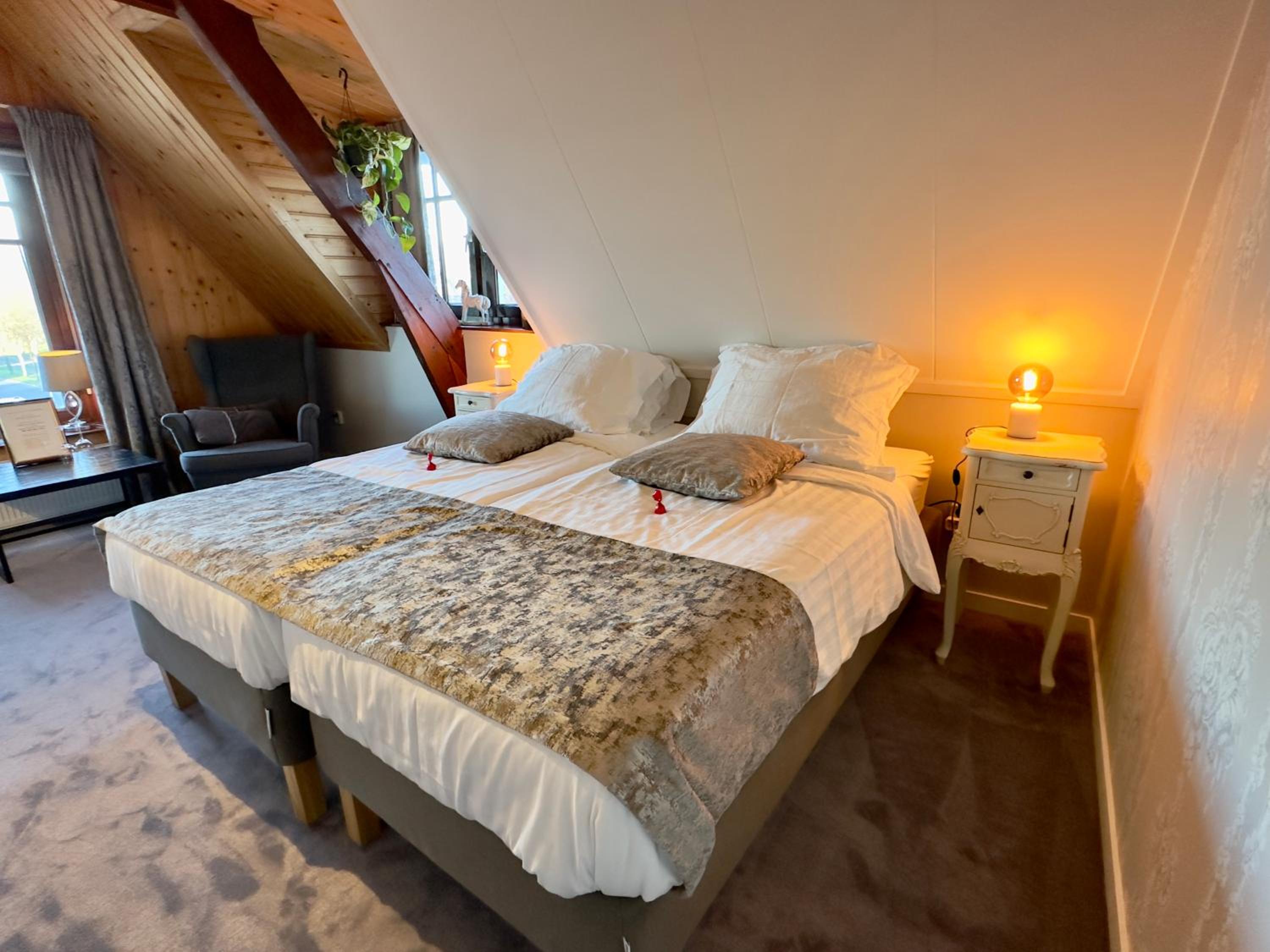 Deluxe Double or Twin Room photo 3